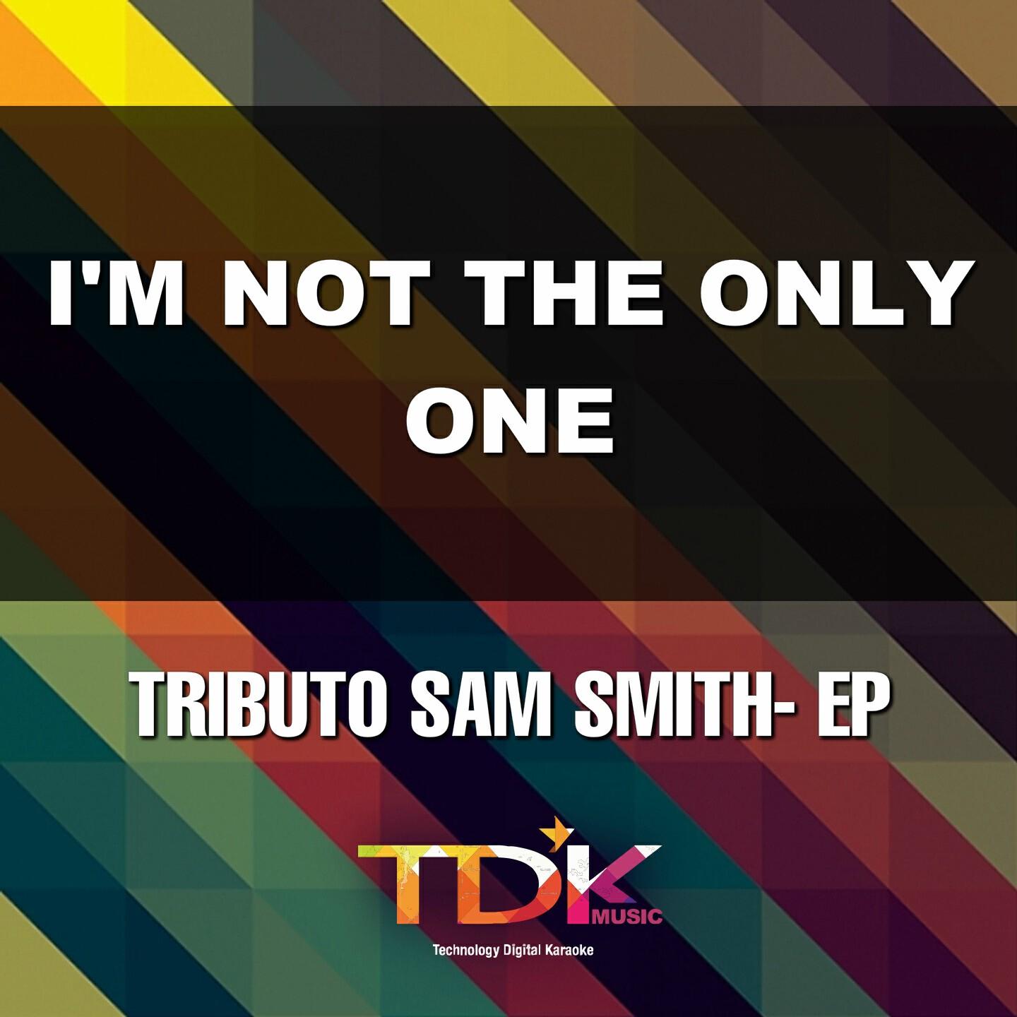 Tdk Music - I'm Not The Only One(Karaoke Version) [In The Style Of Sam Smith]