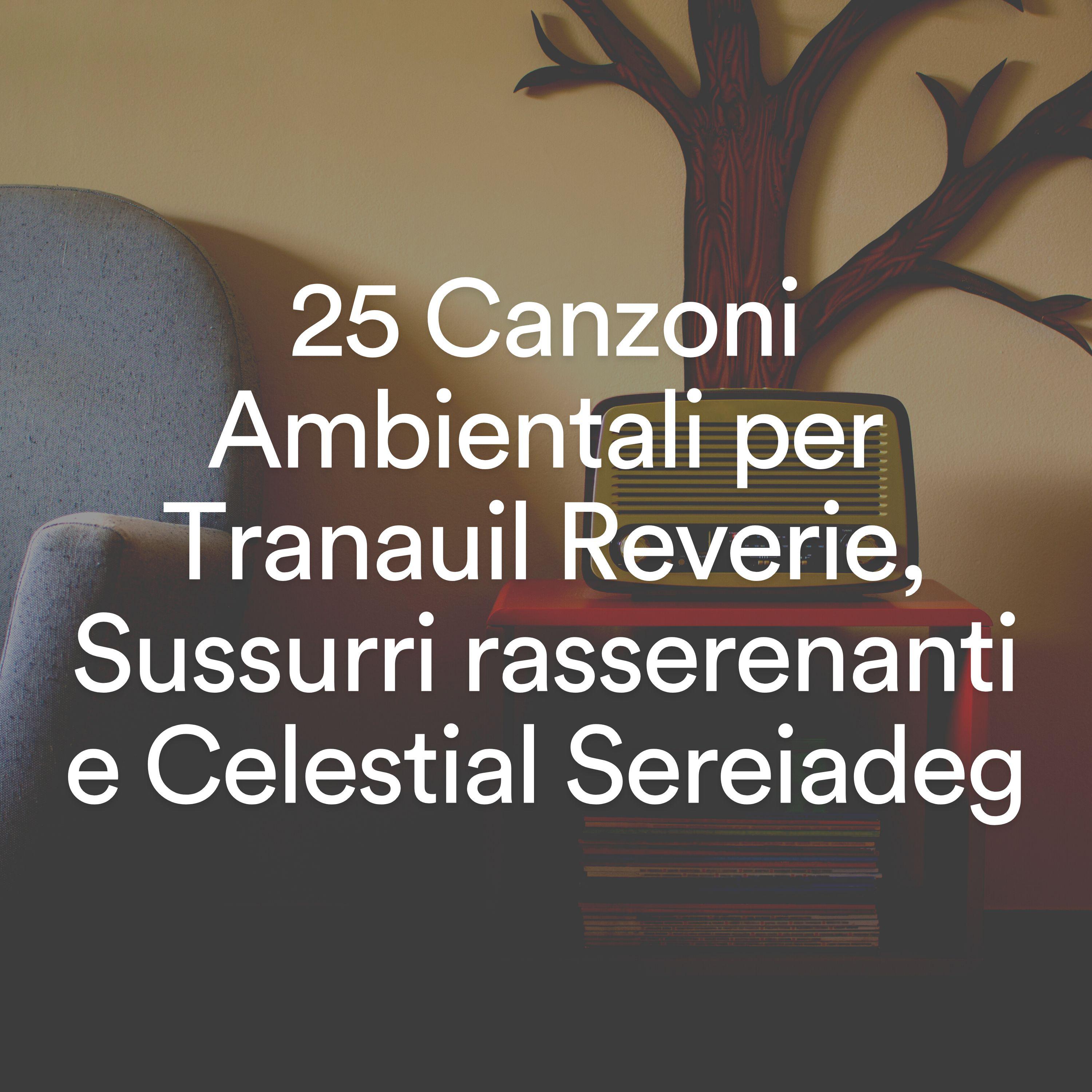 Постер альбома 25 Canzoni Ambientali per Tranauil Reverie, Sussurri rasserenanti e Celestial Sereiadeg