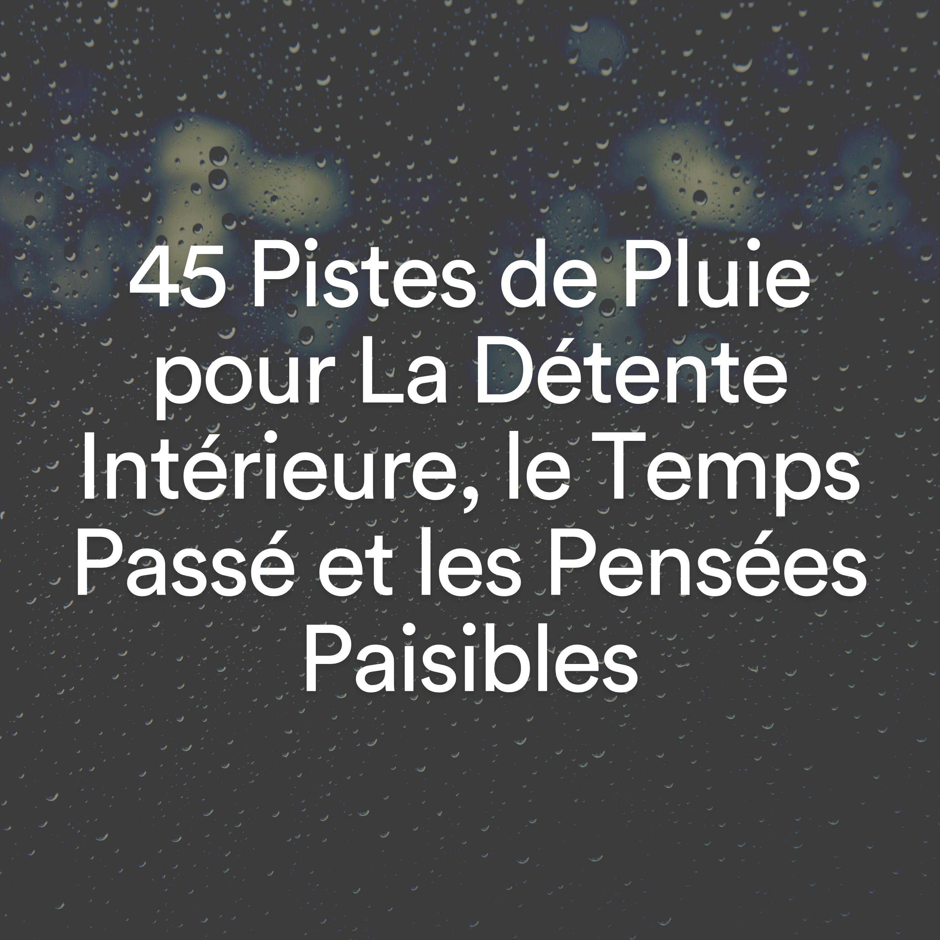 Постер альбома 45 Pistes de Pluie pour La Détente Intérieure, le Temps Passé et les Pensées Paisibles