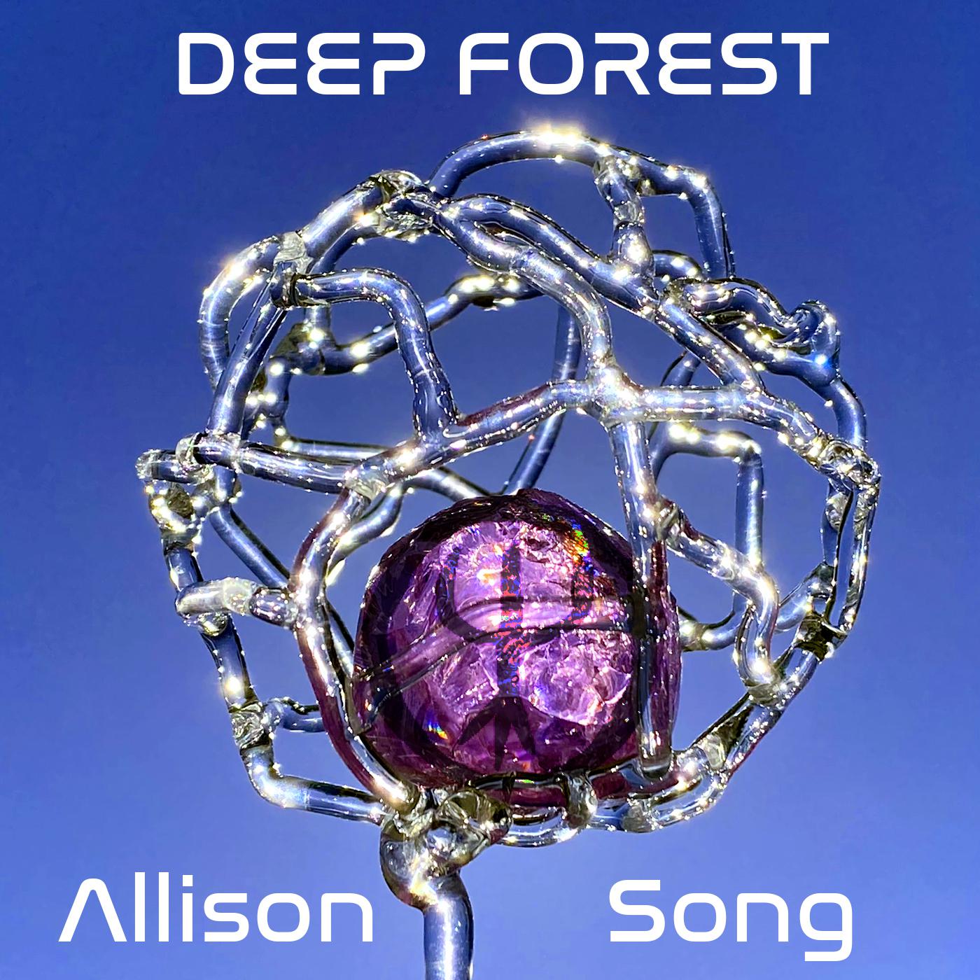 Постер альбома Allison Song