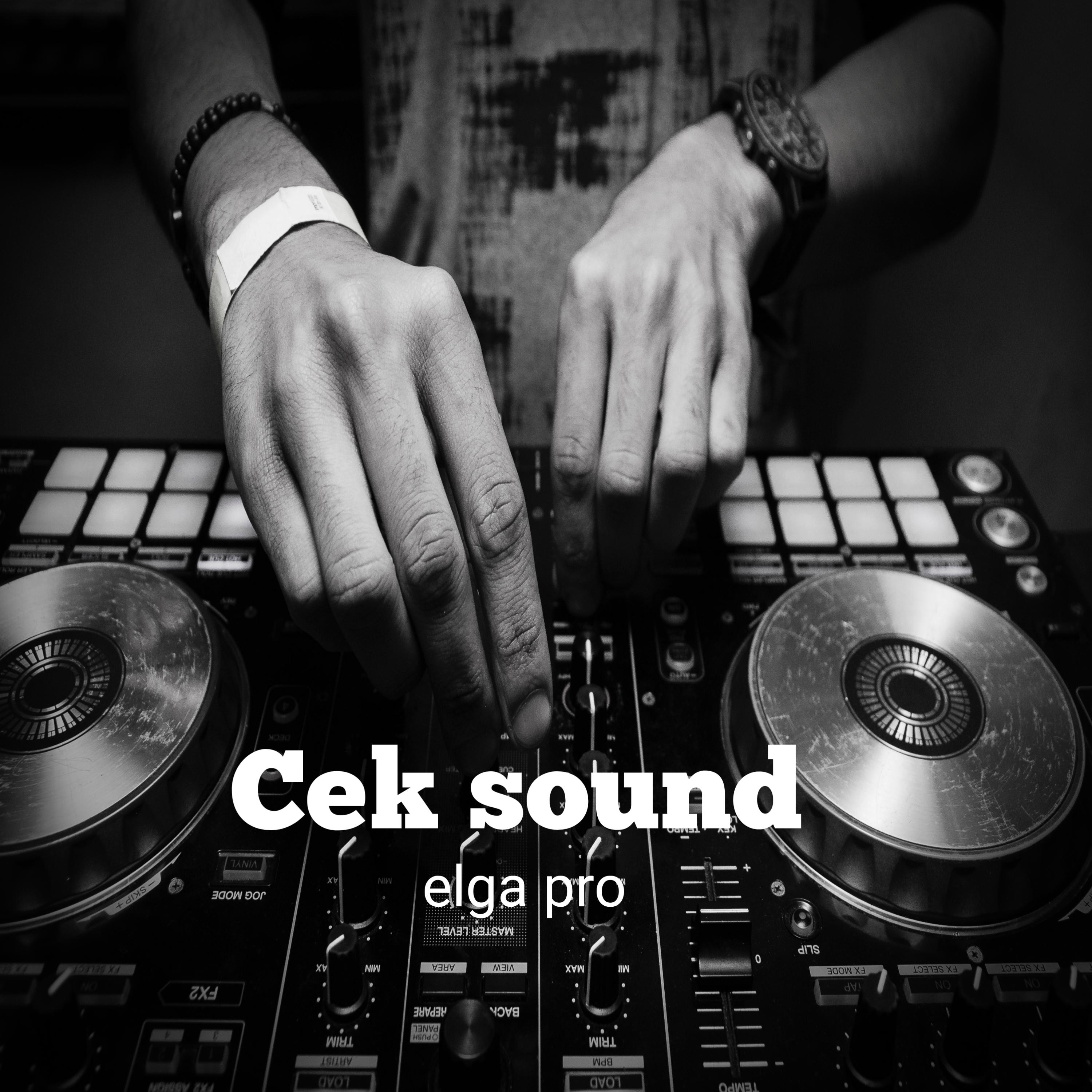 Постер альбома Cek sound