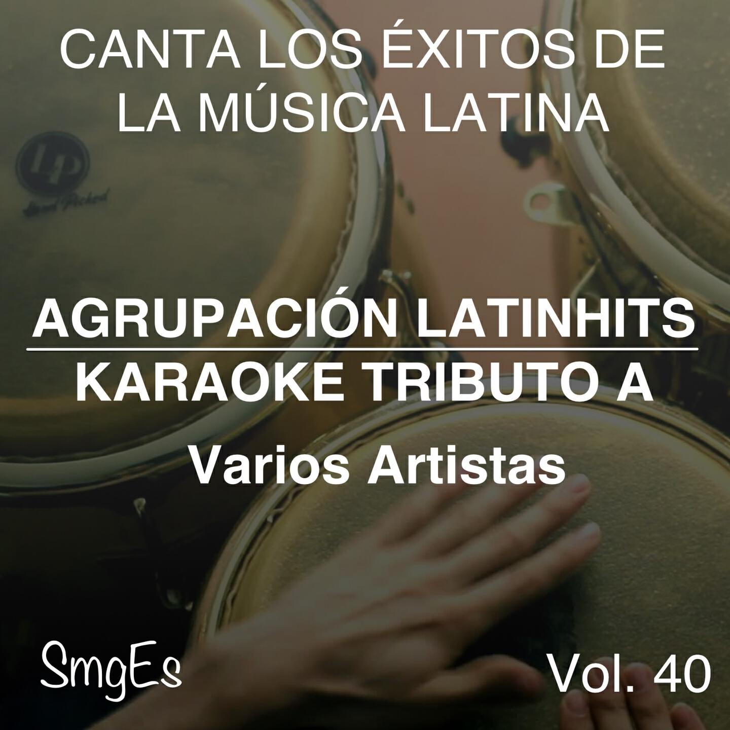 Альбом Instrumental Karaoke Series: Varios Artistas, Vol. 40 исполнителя Agrupacion LatinHits