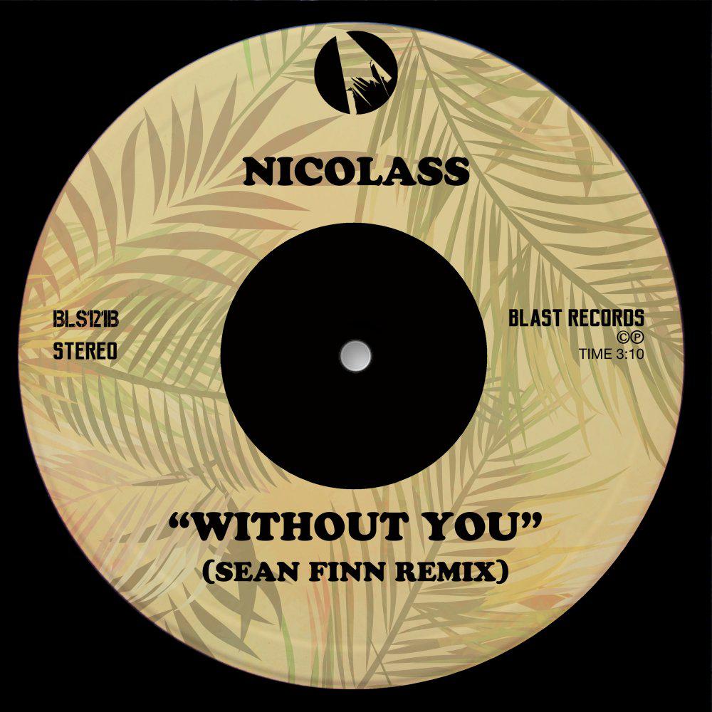 Постер альбома Without You (Sean Finn Remix)