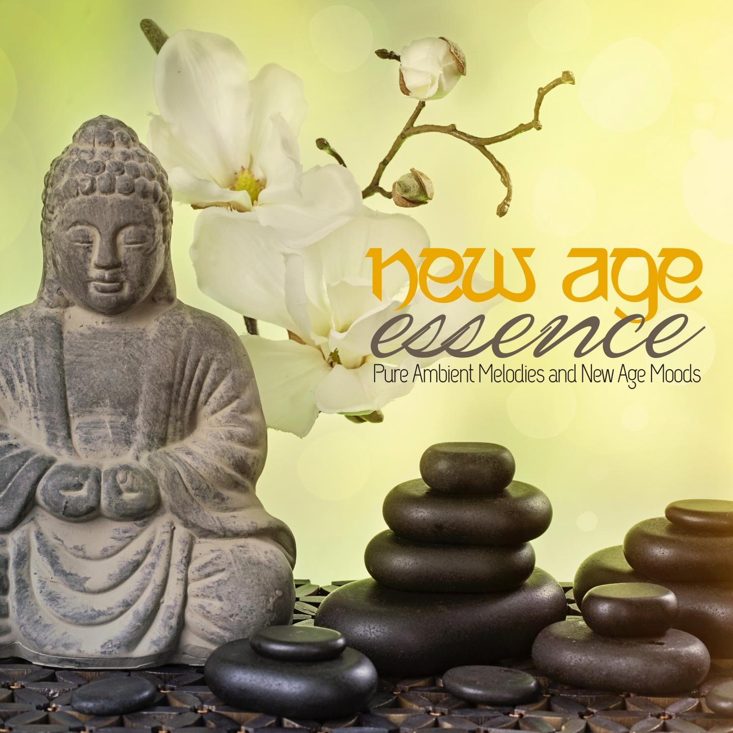 Постер альбома New Age Essence