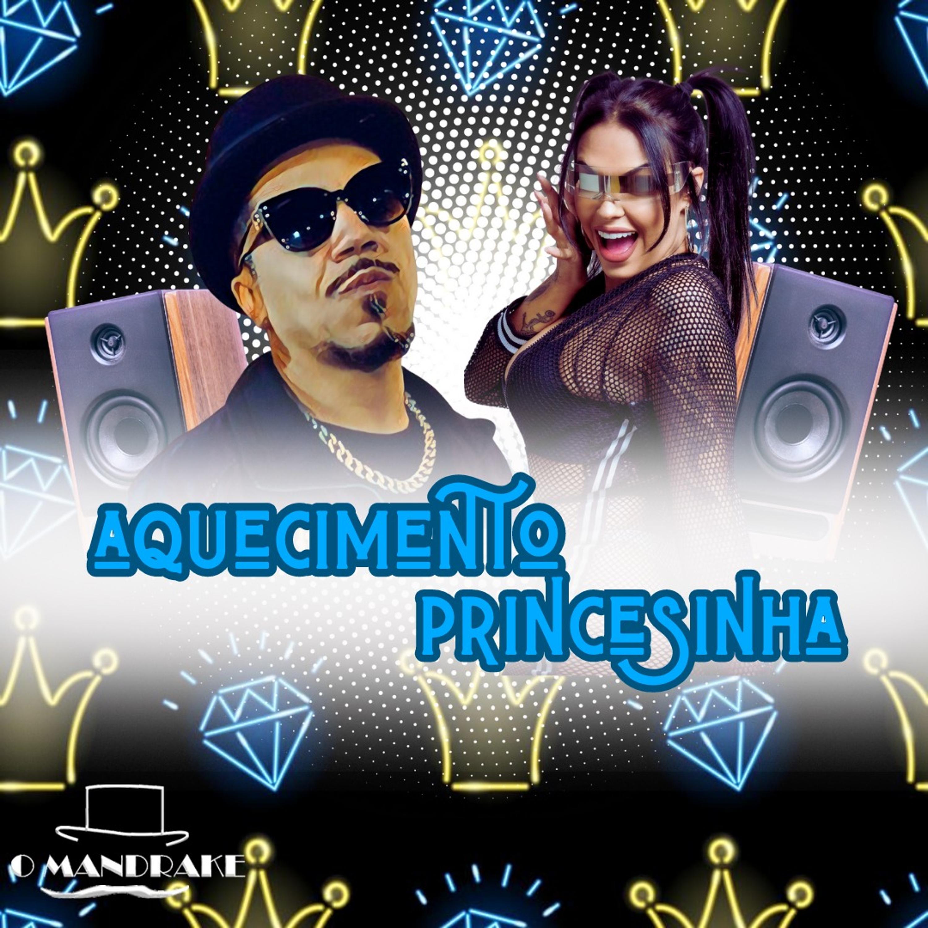 Постер альбома Aquecimento Princesinha