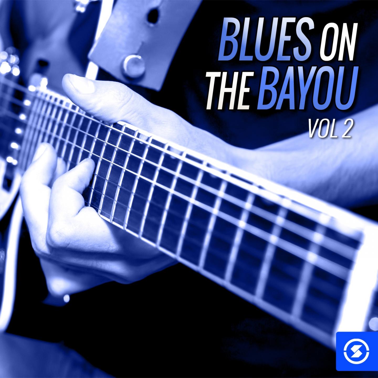 Постер альбома Blues on the Bayou, Vol. 2