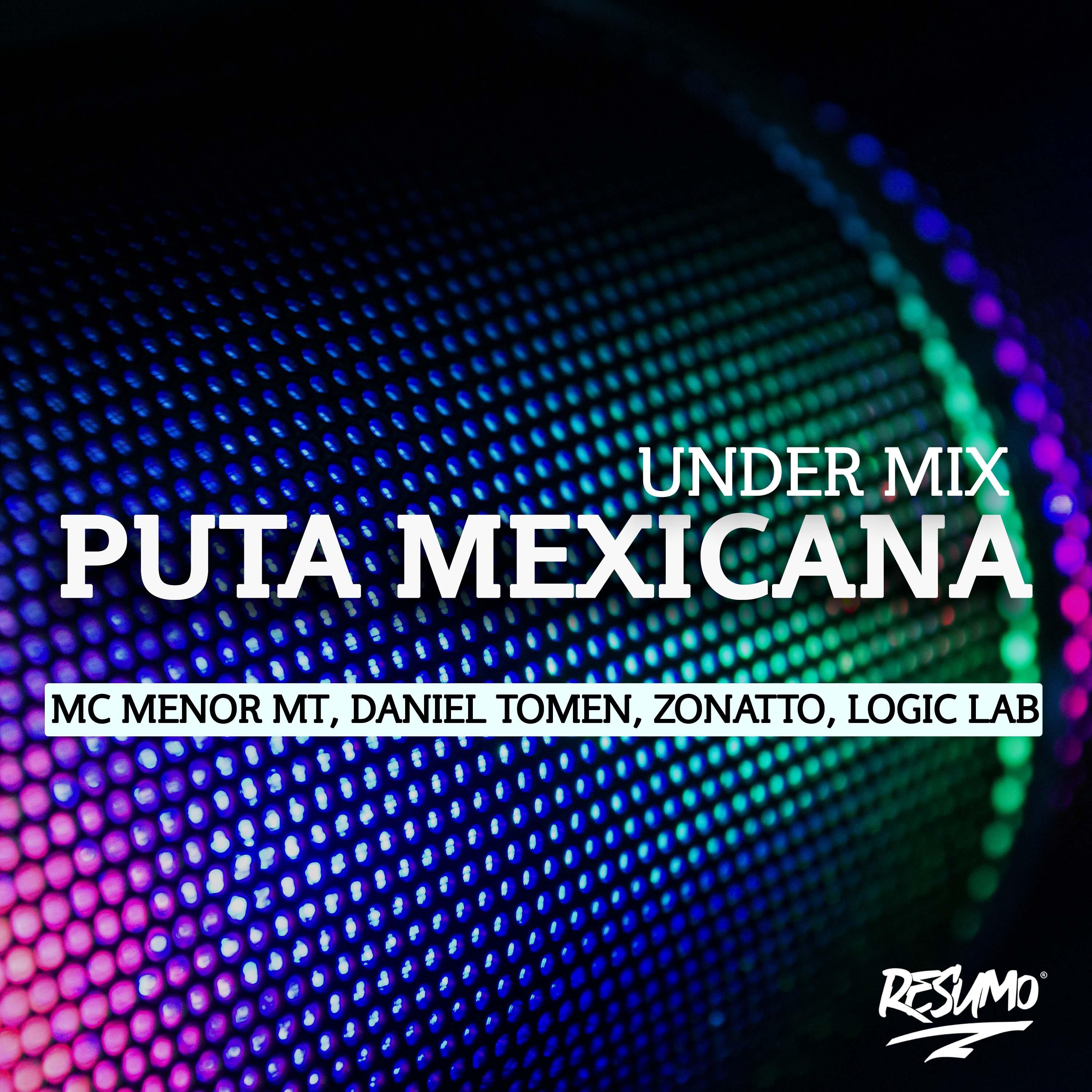 Постер альбома Puta Mexicana Under Mix