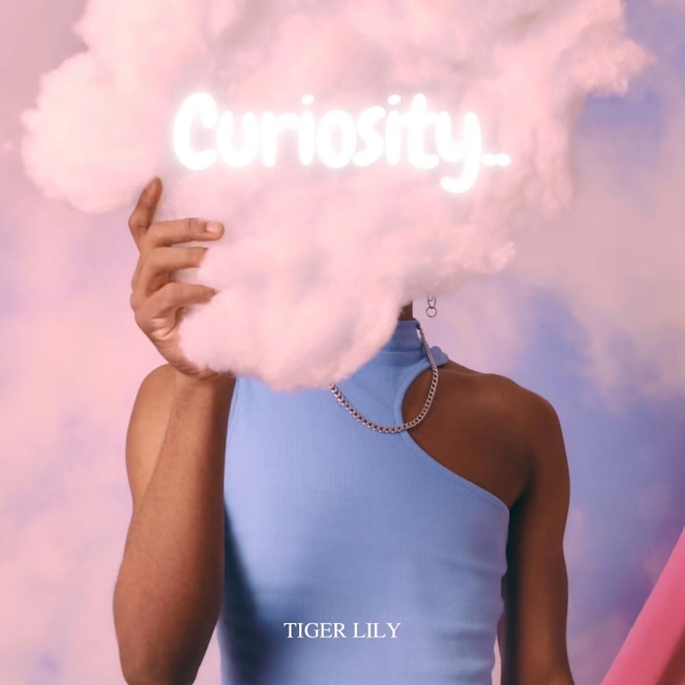 Постер альбома Curiosity..