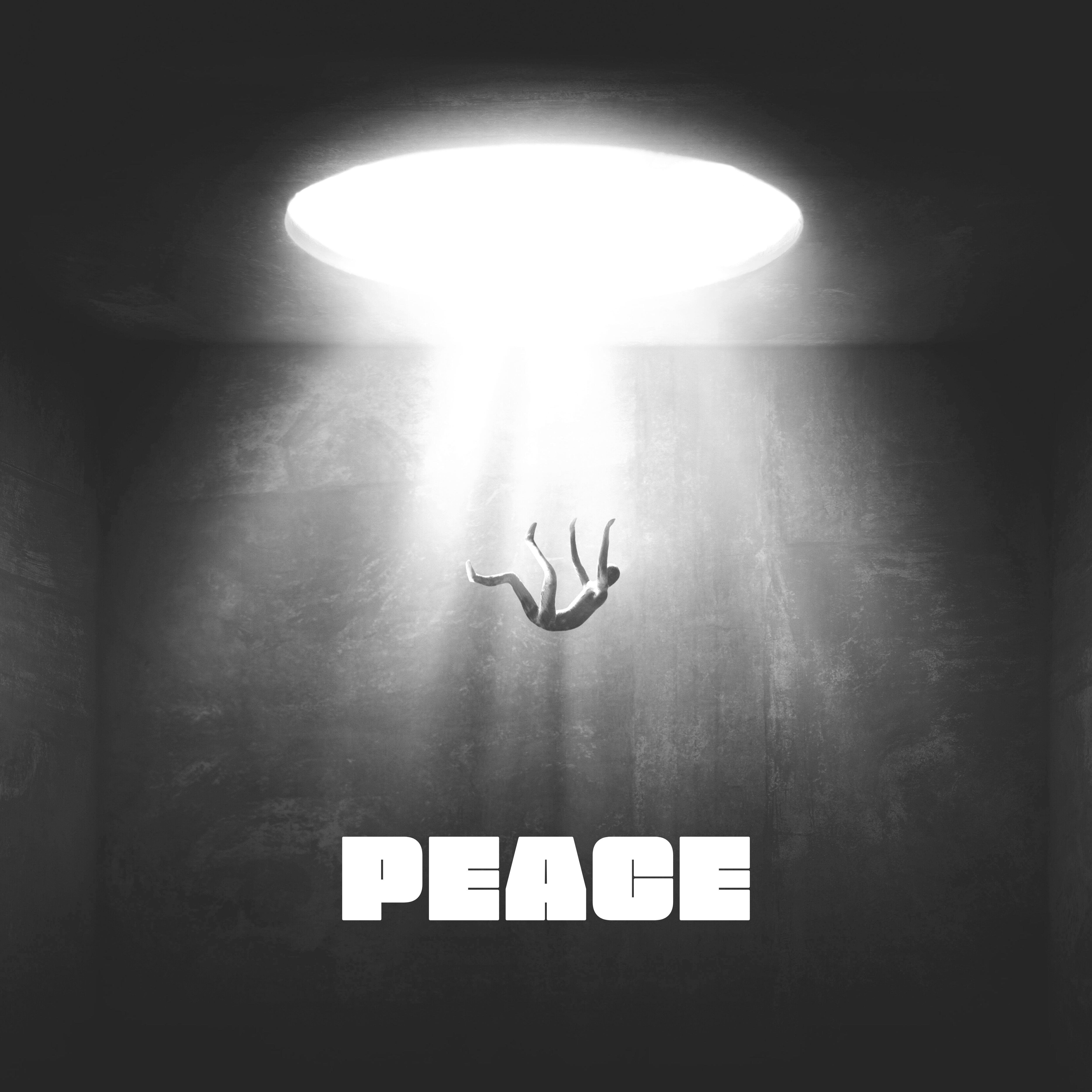 Постер альбома Peace