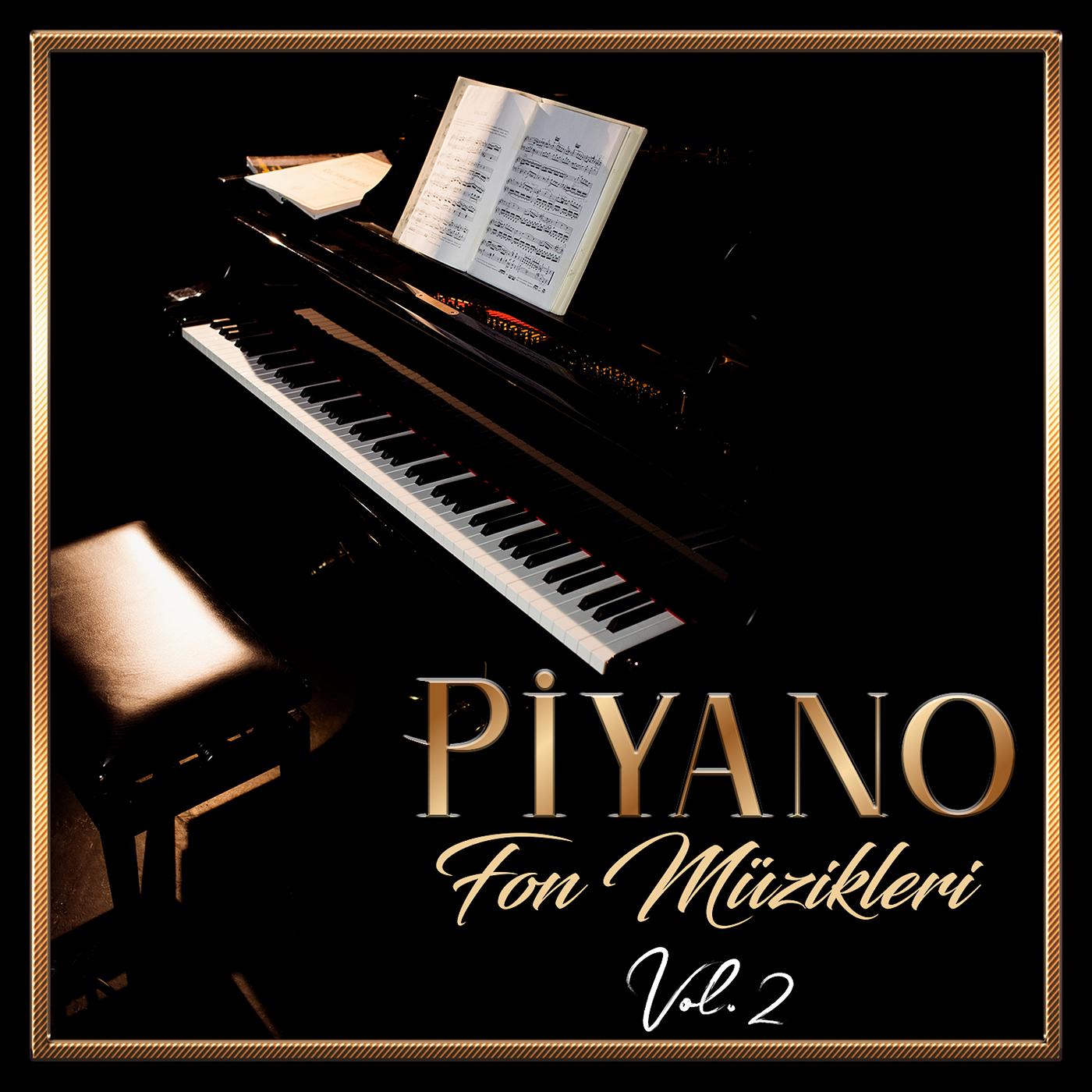Постер альбома Piyano Fon Müzikleri Vol.2
