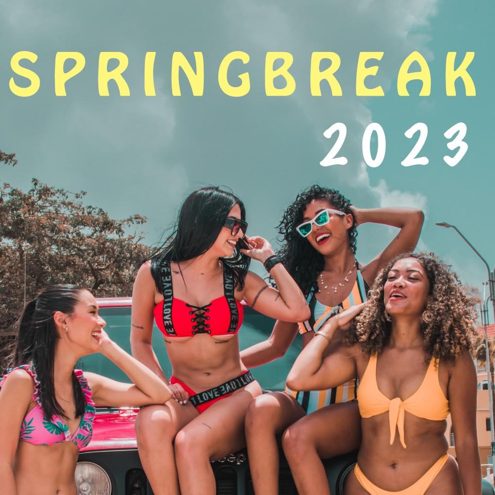 Постер альбома Springbreak 2023
