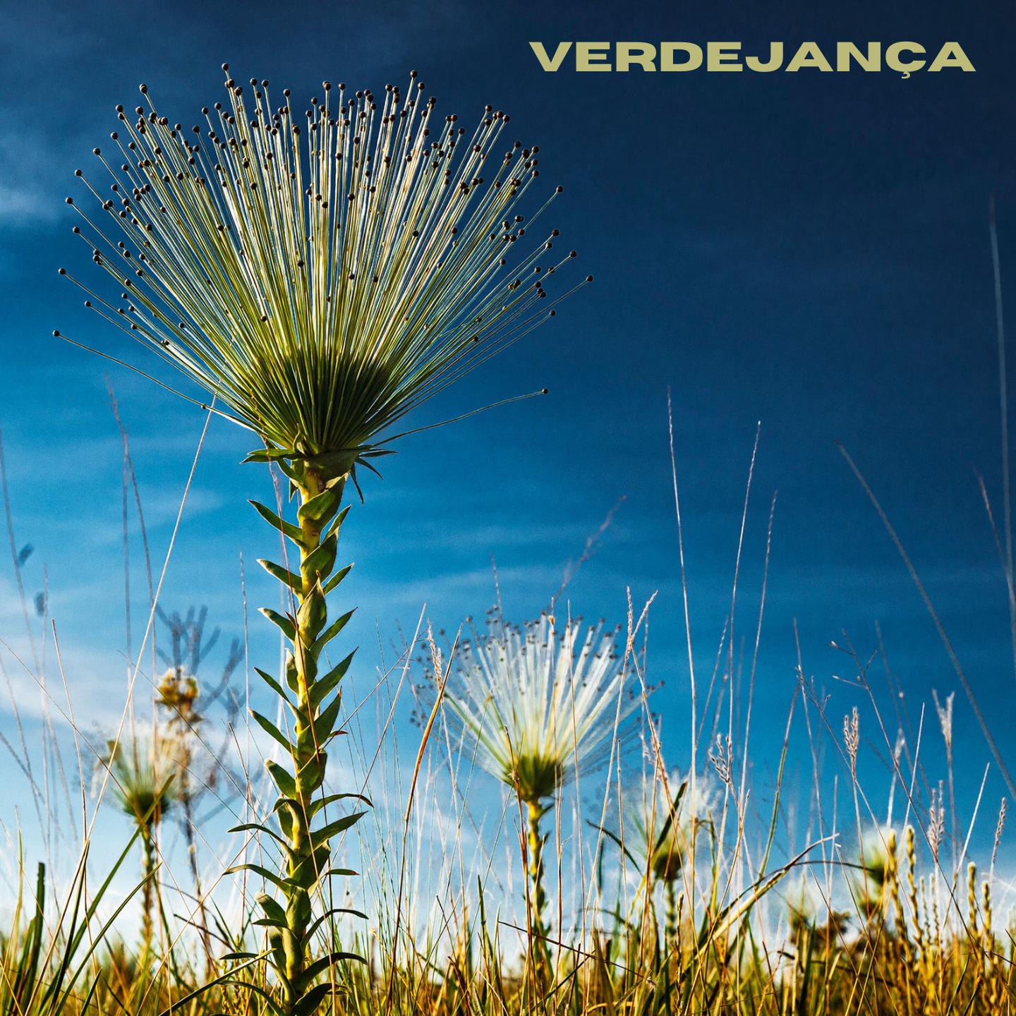 Постер альбома Verdejança