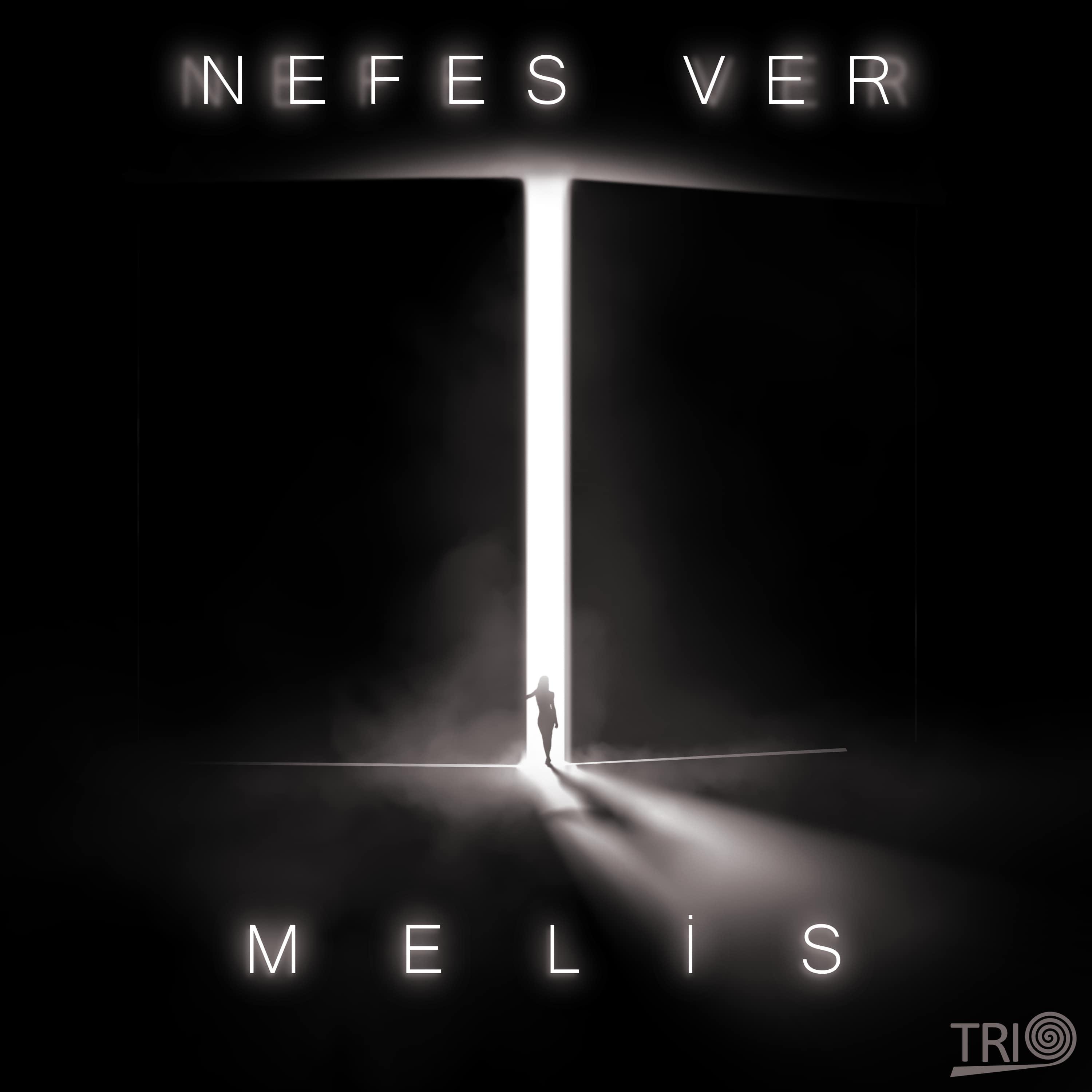Постер альбома Nefes Ver