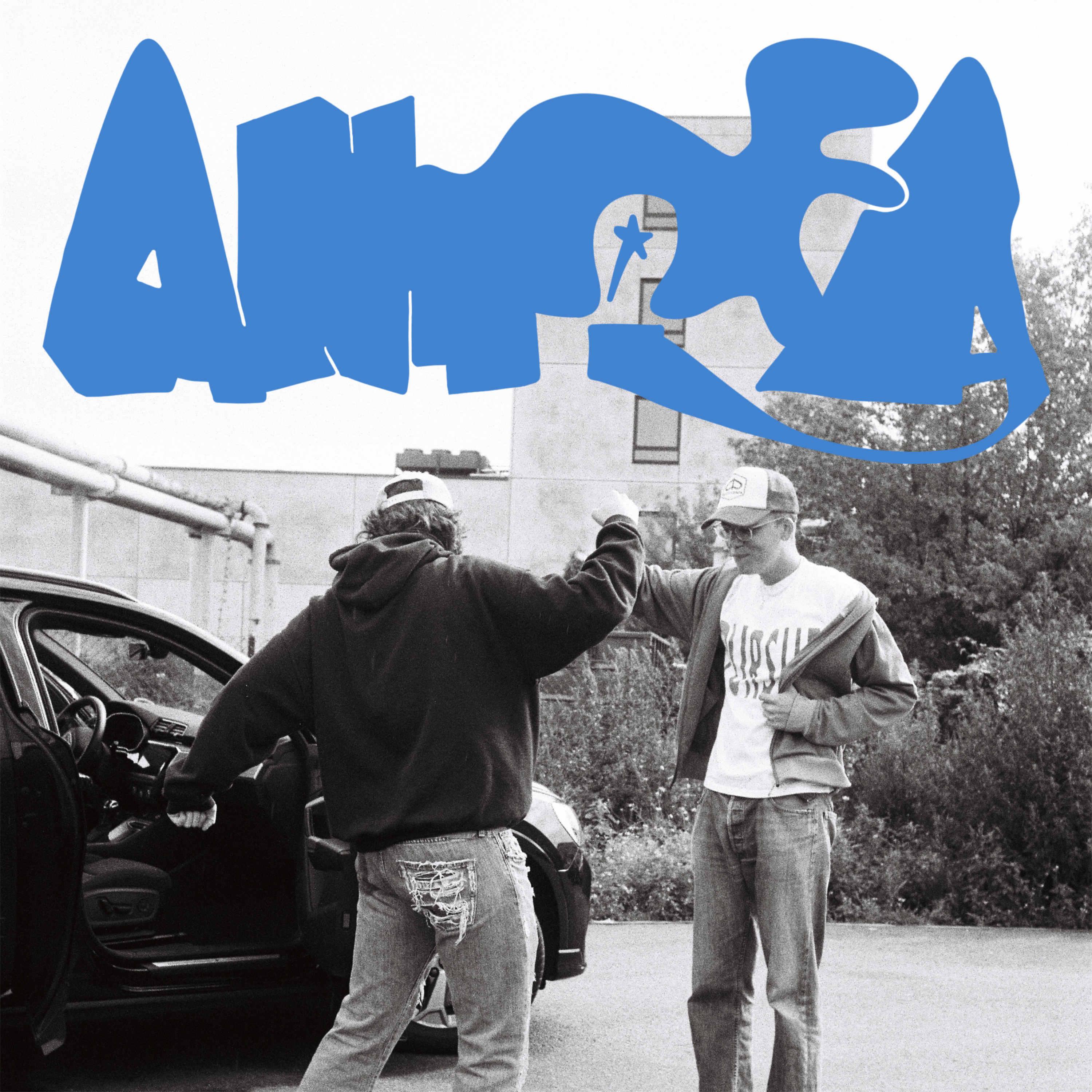 Постер альбома Antifa