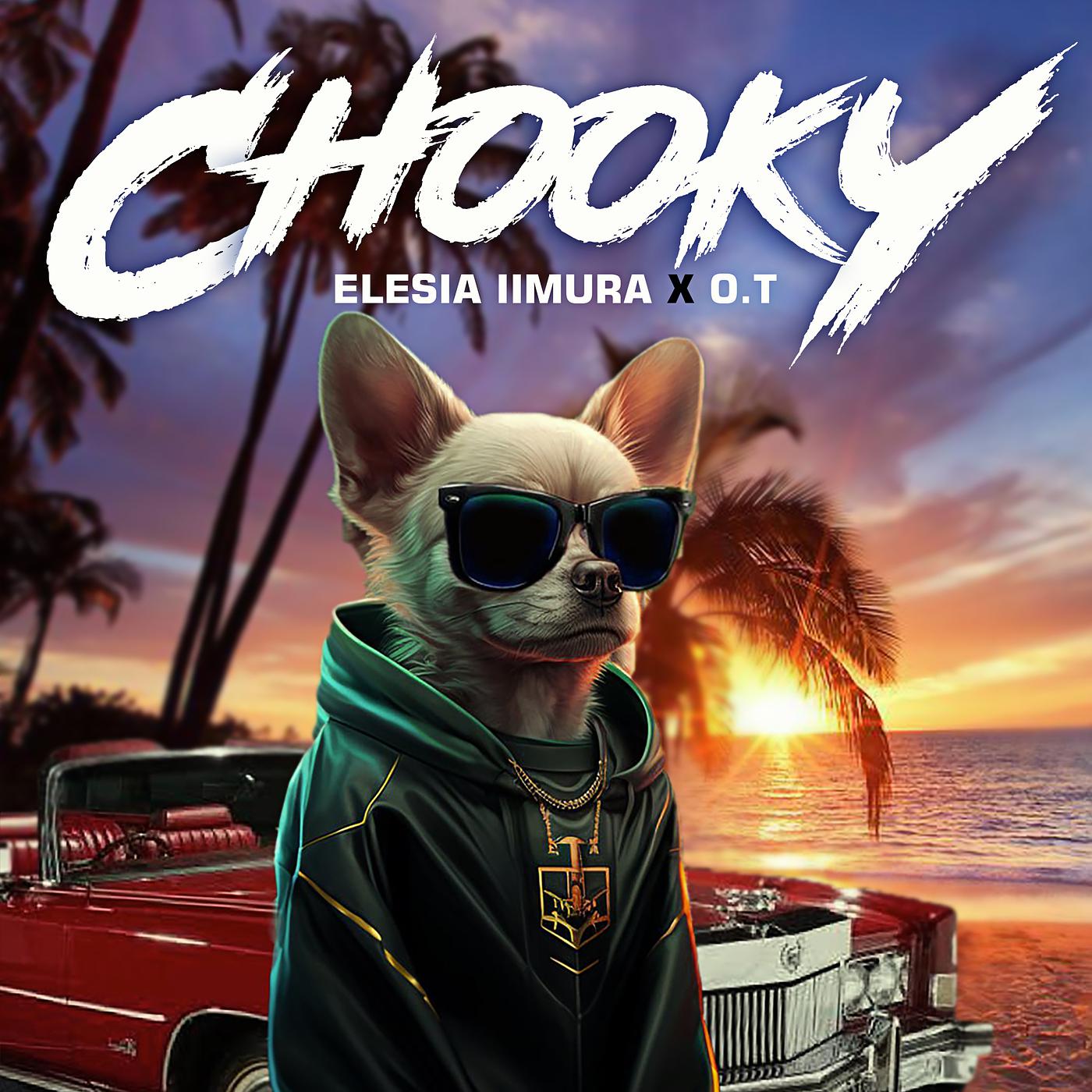 Постер альбома Chooky