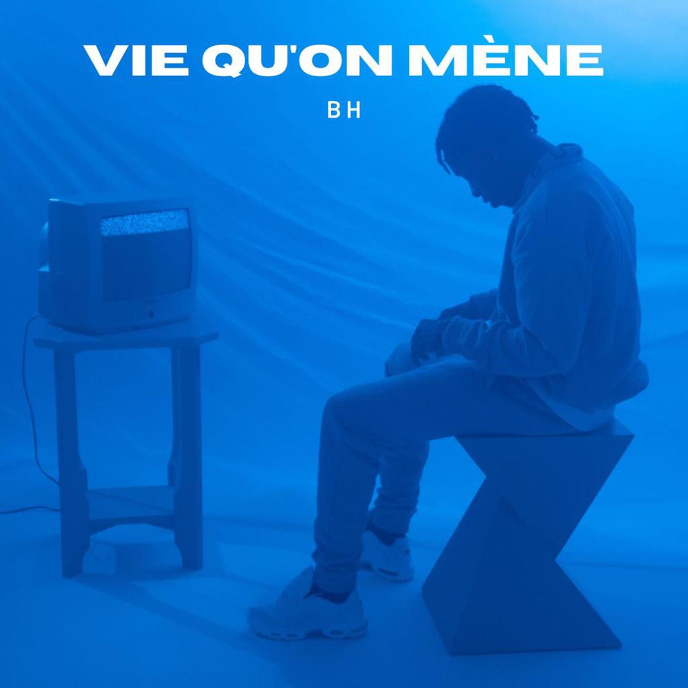 Постер альбома Vie qu'on mène