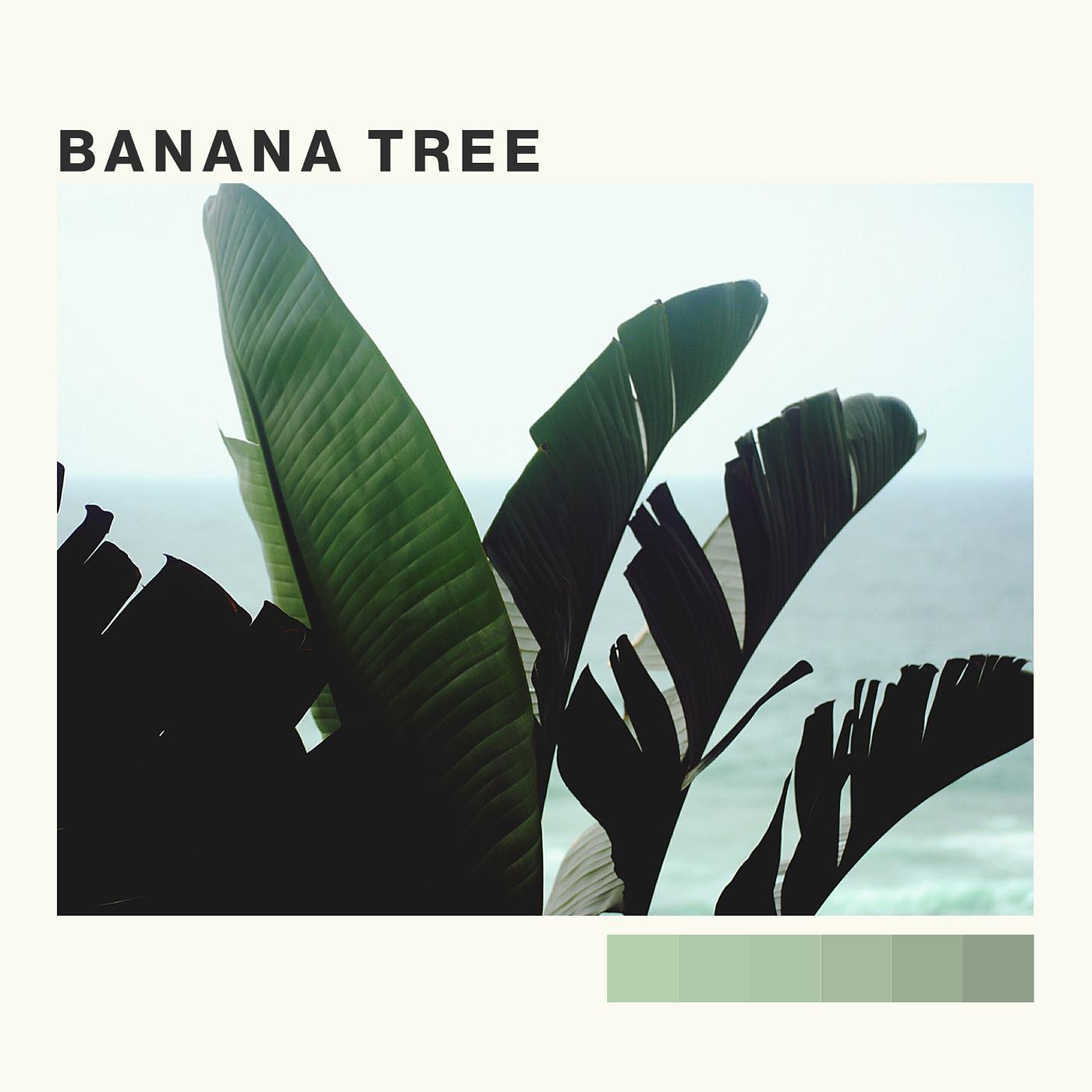 Постер альбома Banana Tree
