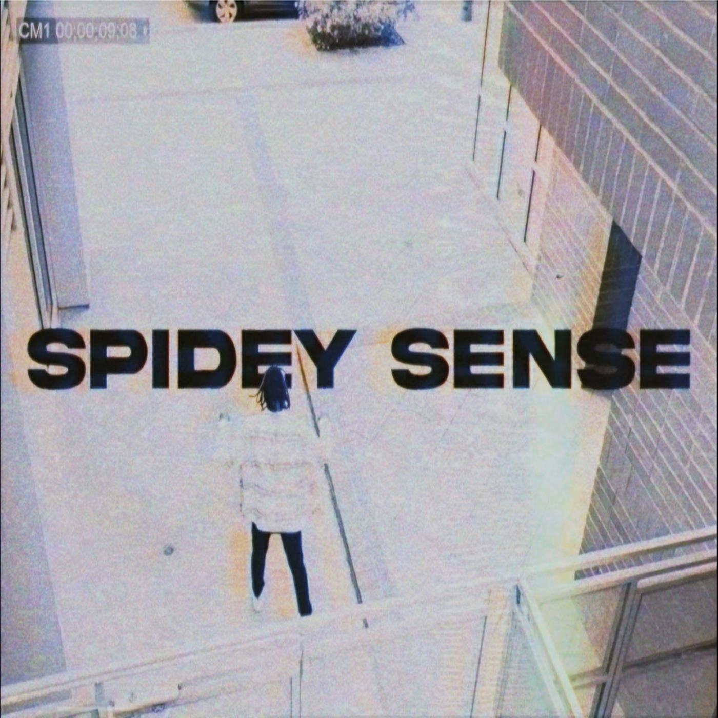 Постер альбома Spidey Sense