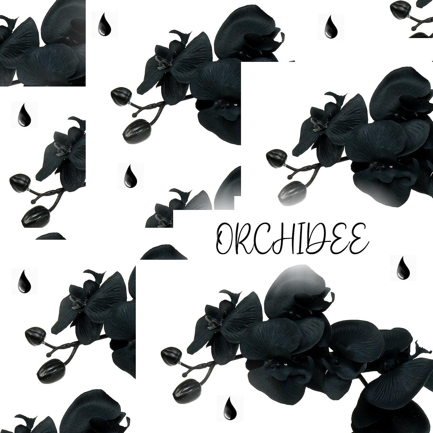 Постер альбома Orchidee