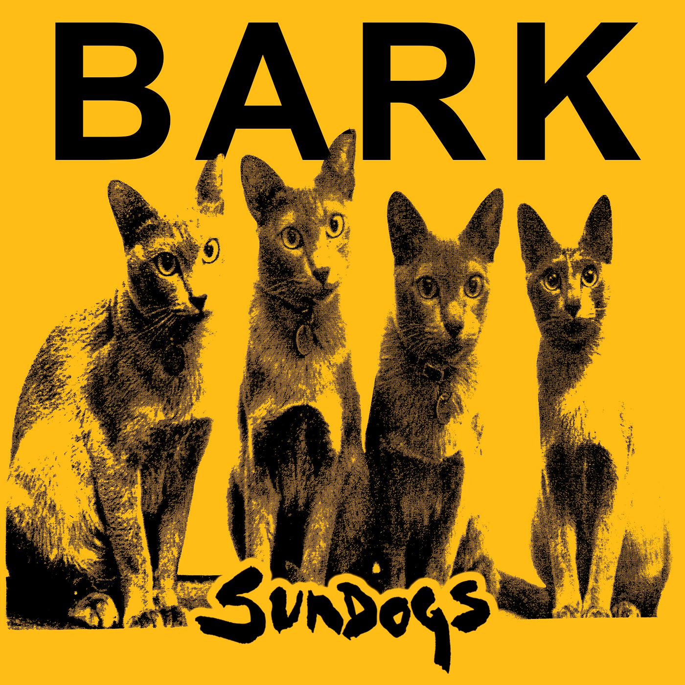 Постер альбома Bark