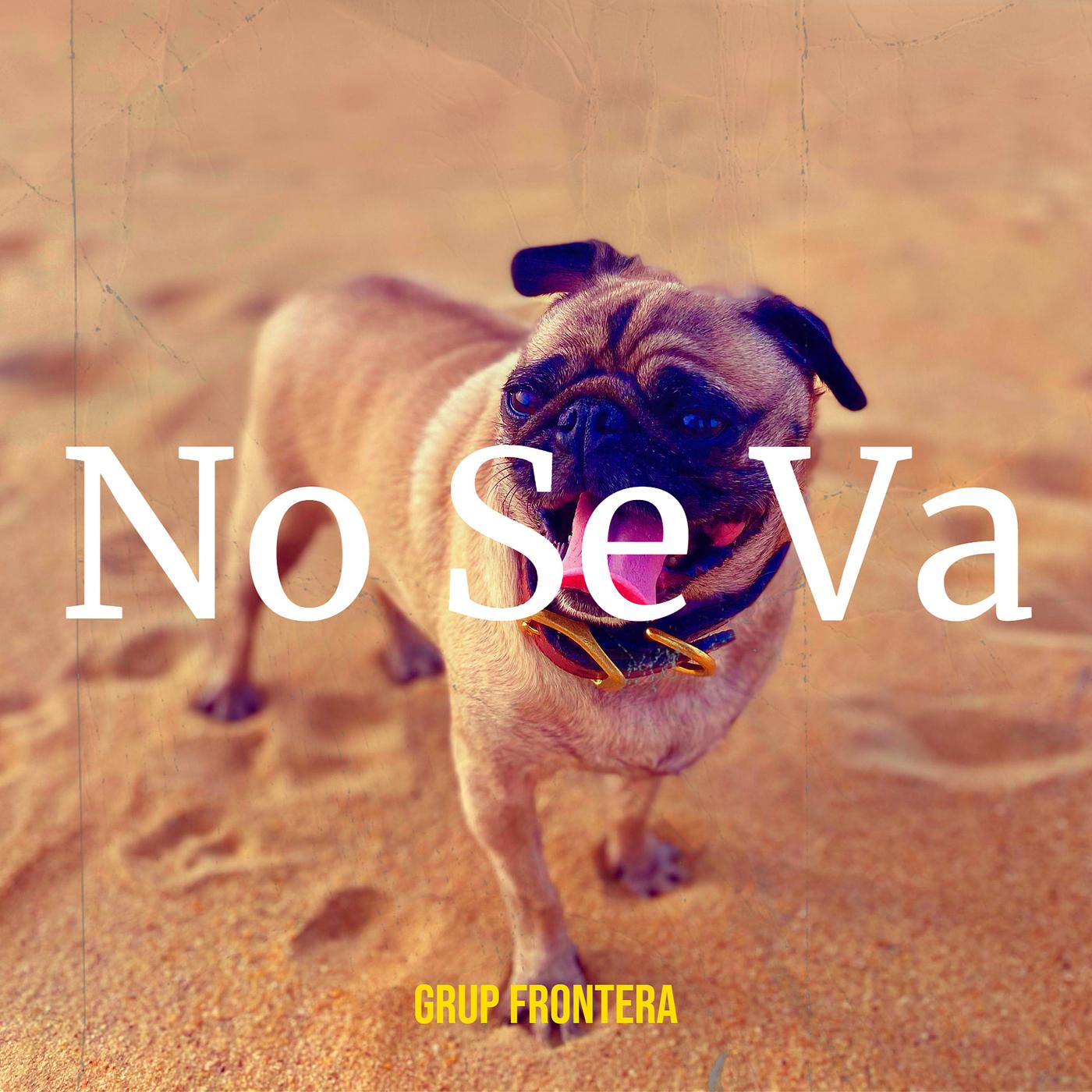 Постер альбома No Se Va