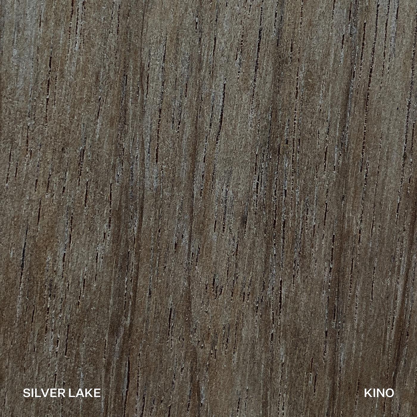 Постер альбома Silver Lake