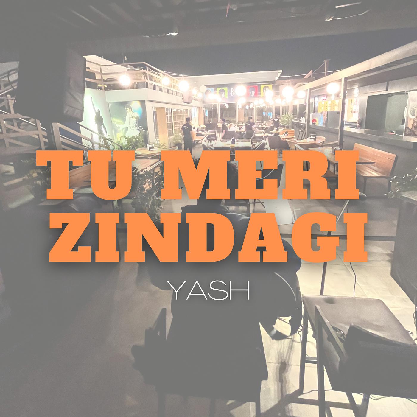 Постер альбома Tu Meri Zindagi