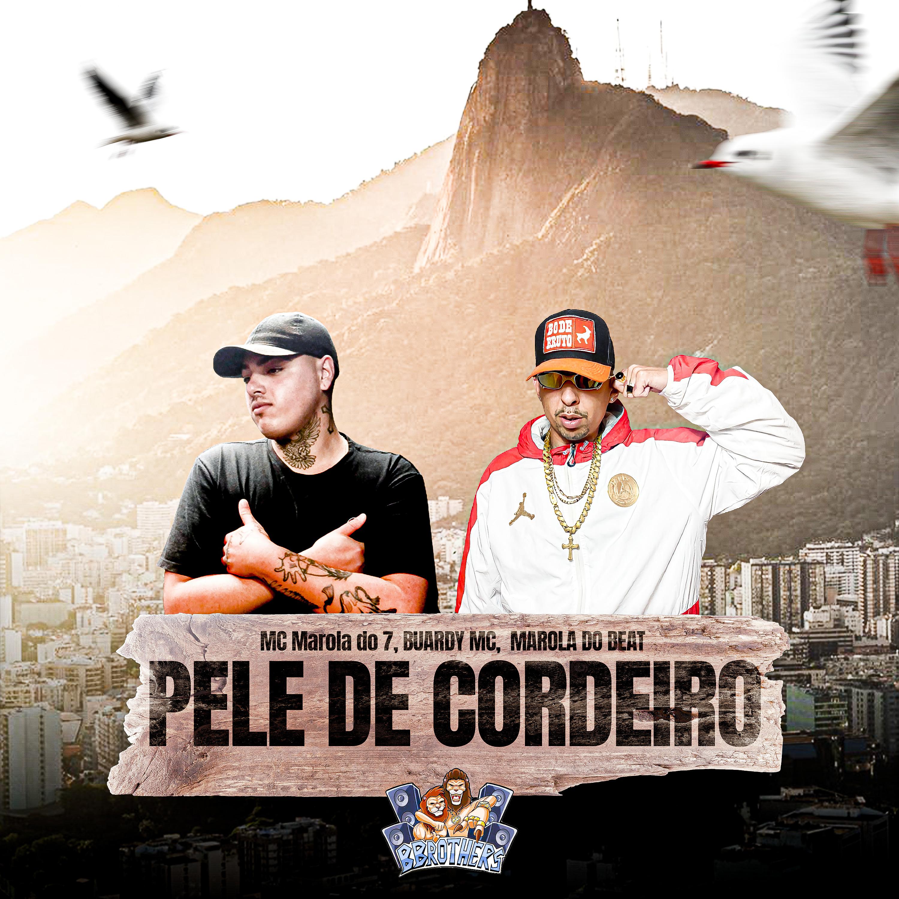 Постер альбома Pele de Cordeiro