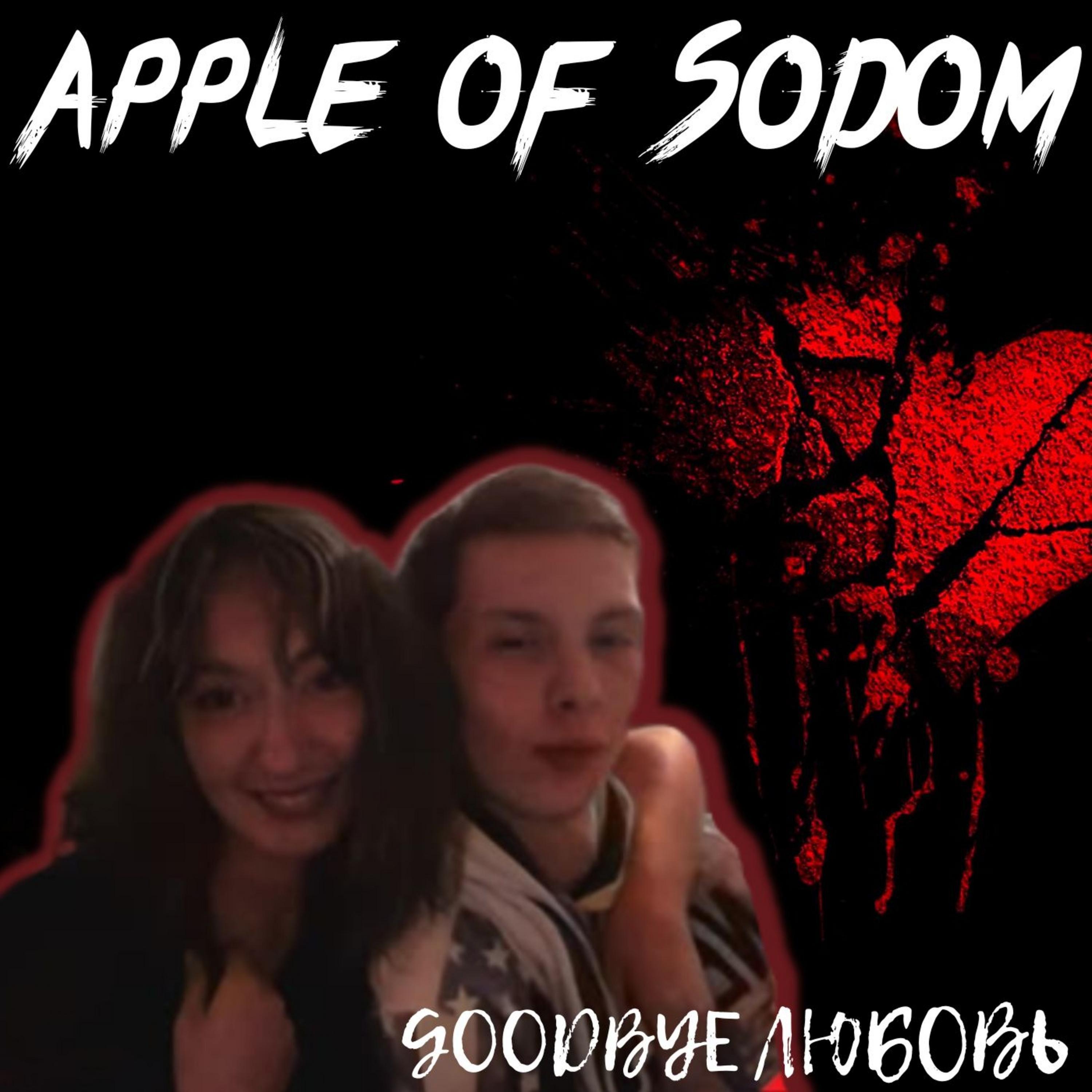 Постер альбома Goodbye любовь