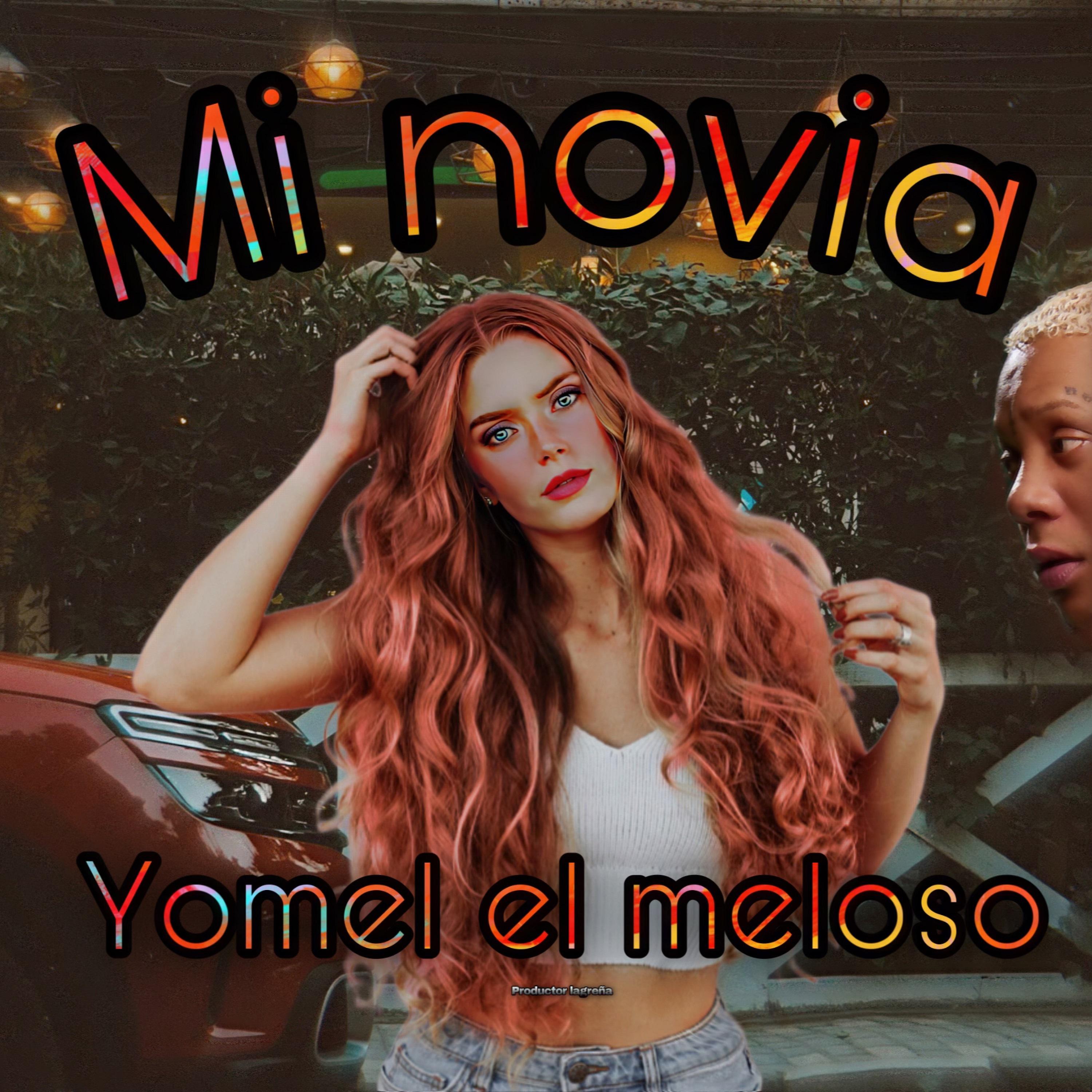 Постер альбома Mi Novia