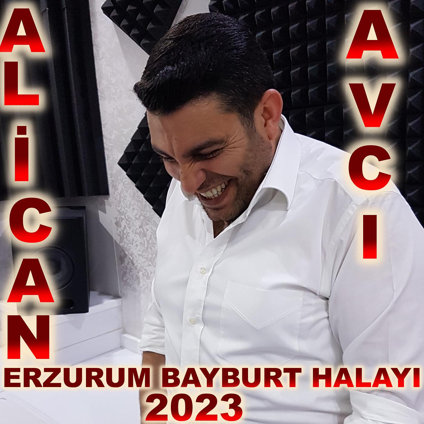 Постер альбома Erzurum Bayburt Halayi 2023