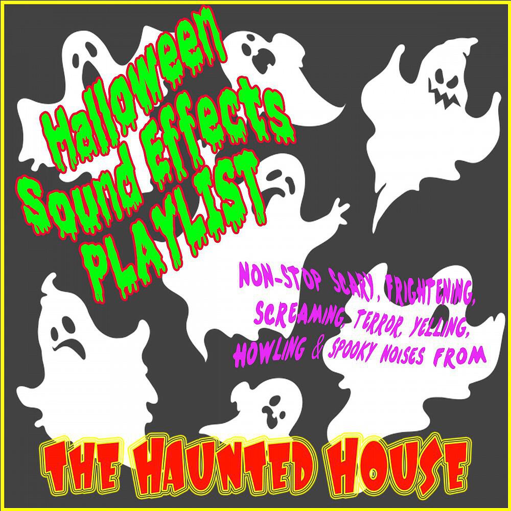 CDM Sound FX - Halloween Sounds of Horror (40 Minutes Continuous Sound Effects)