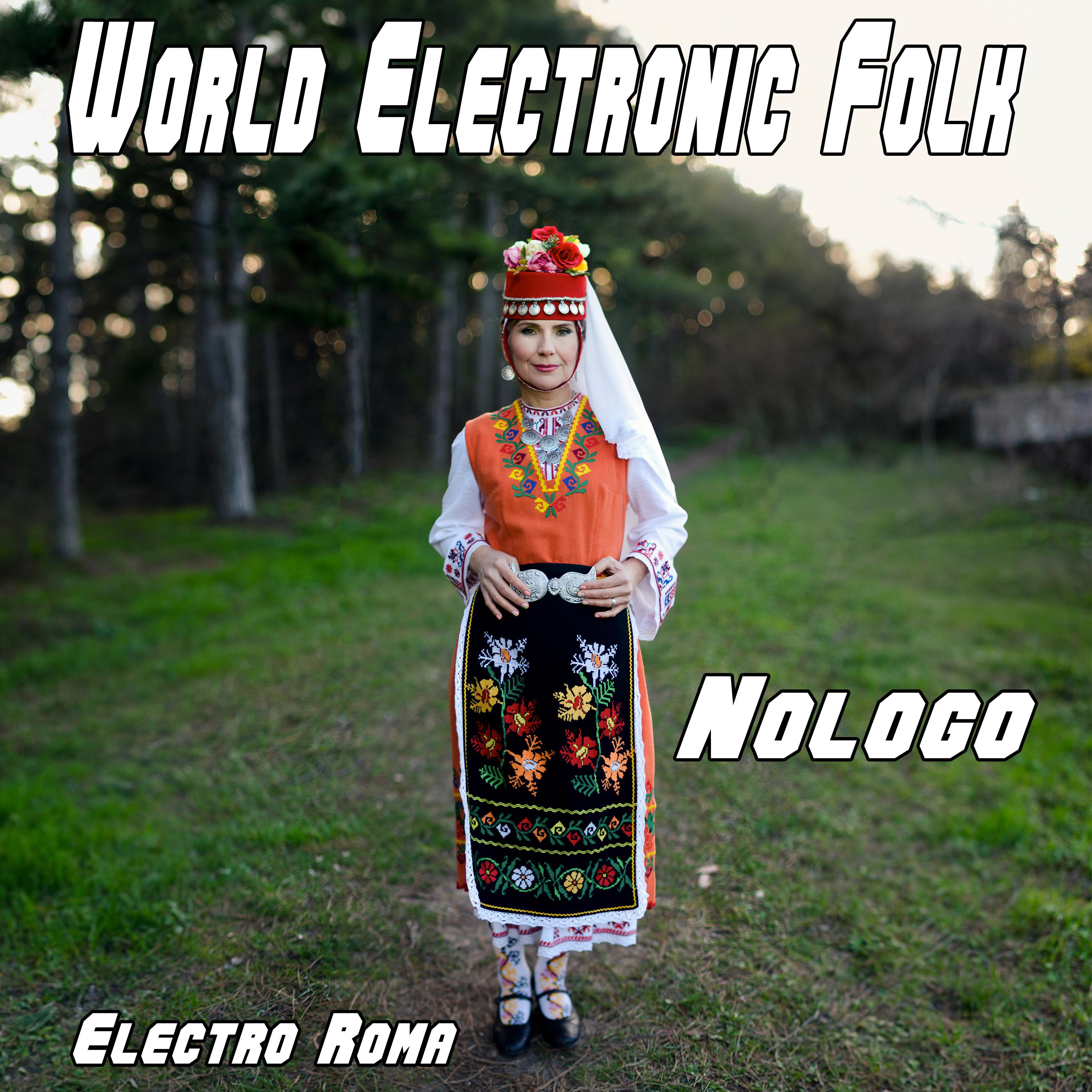 Постер альбома World Electronic Folk