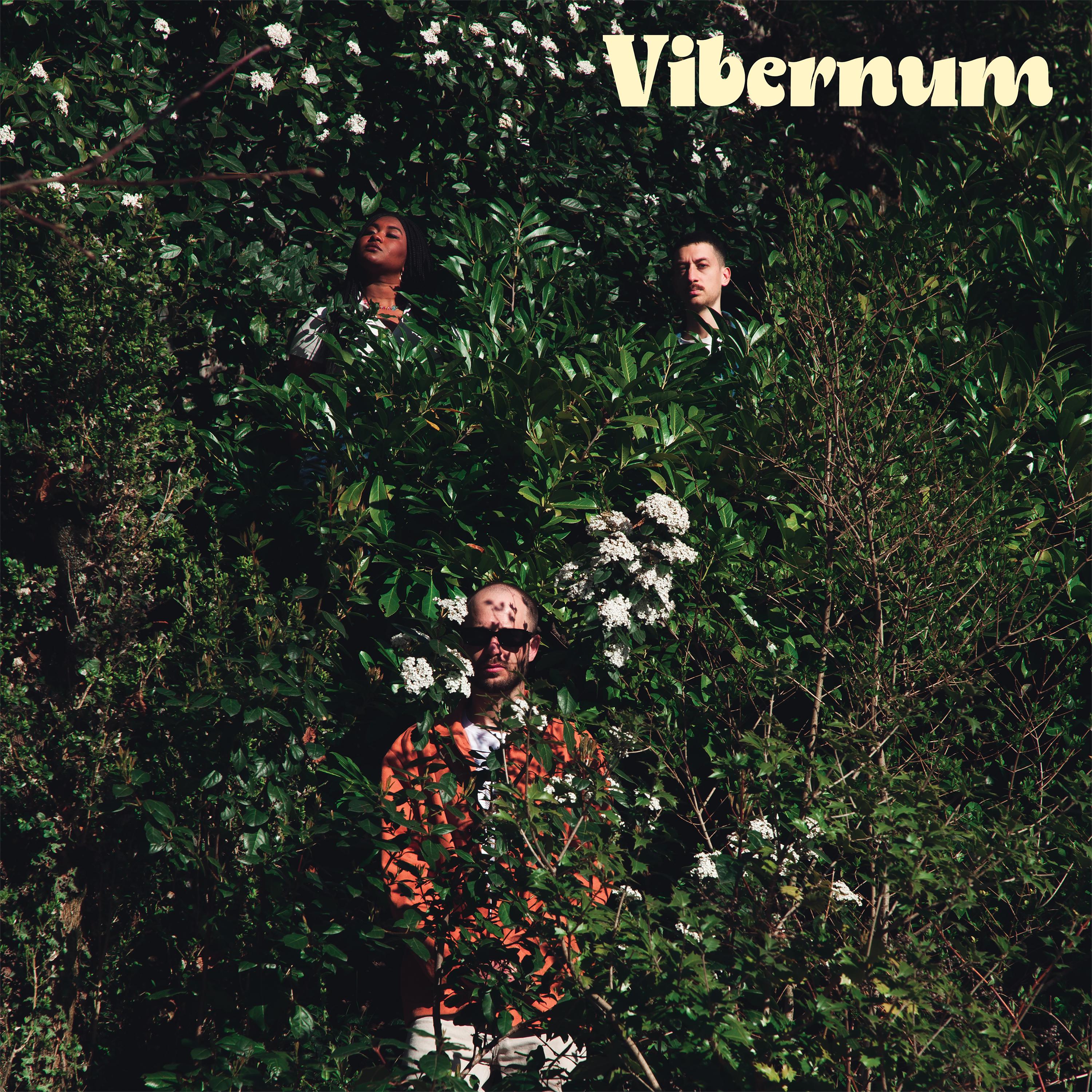 Постер альбома Vibernum