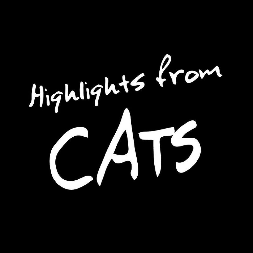 Stage Sound Unlimited - Grizabella: The Glamour Cat