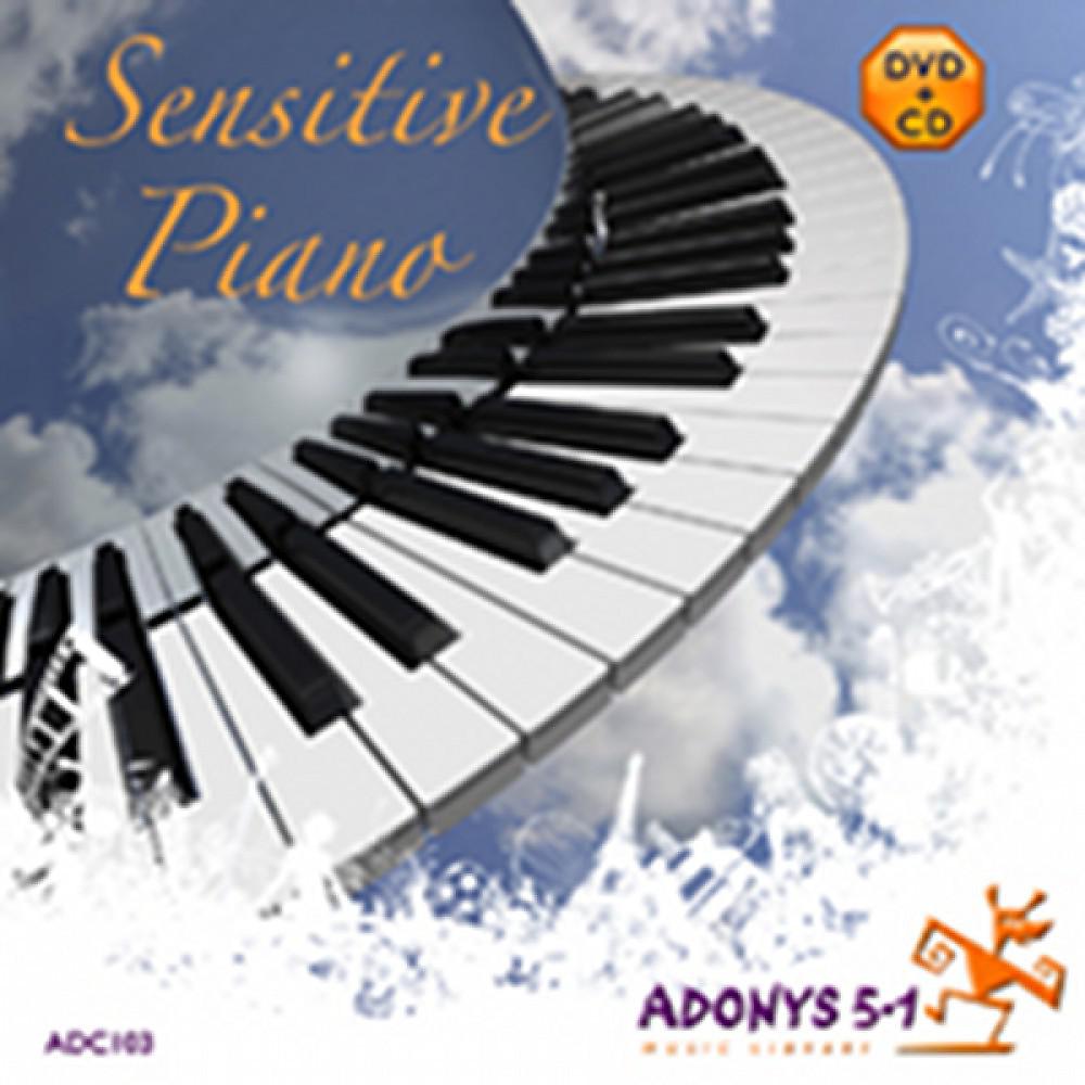Постер альбома Sensitive Piano