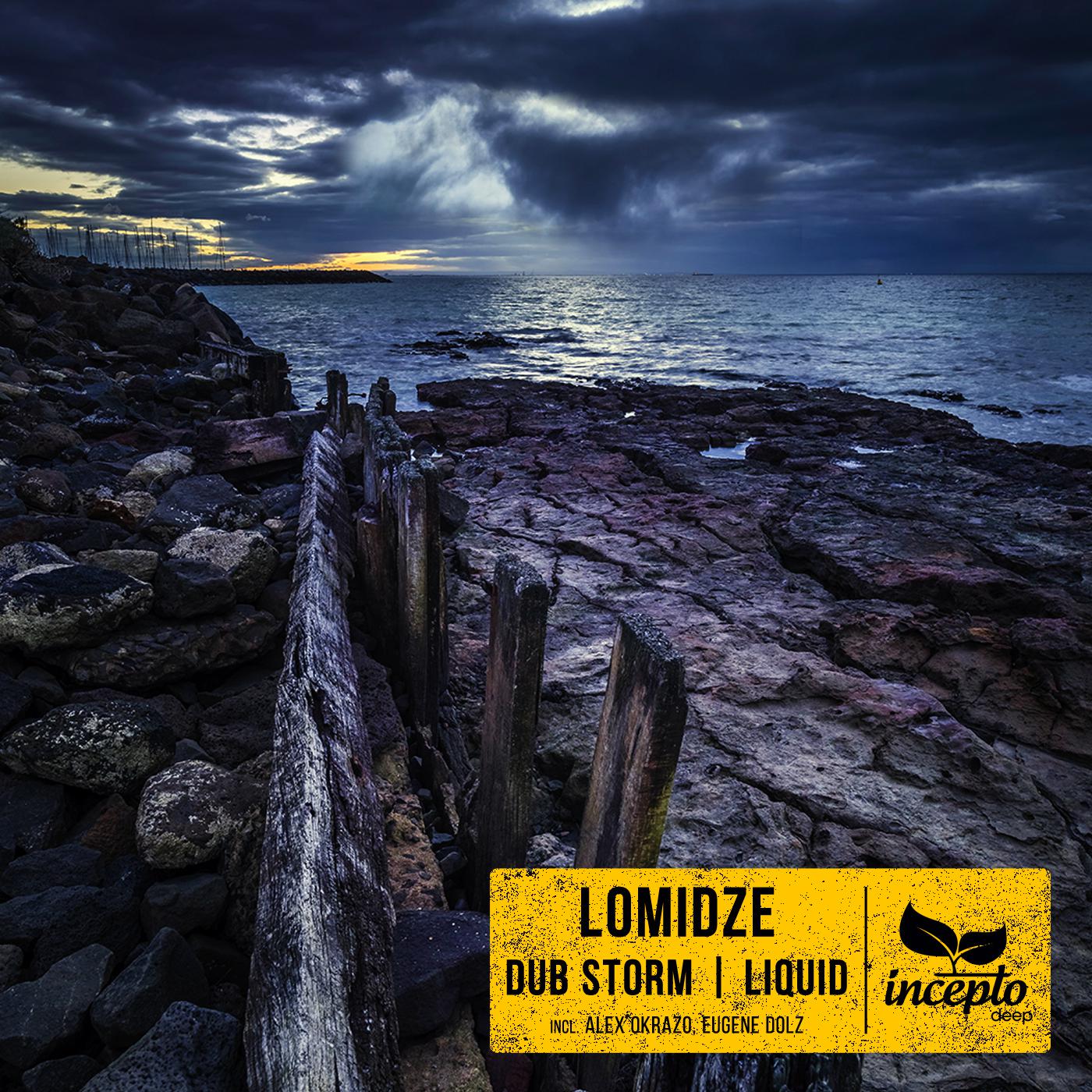 Постер альбома Dub Storm / Liquid