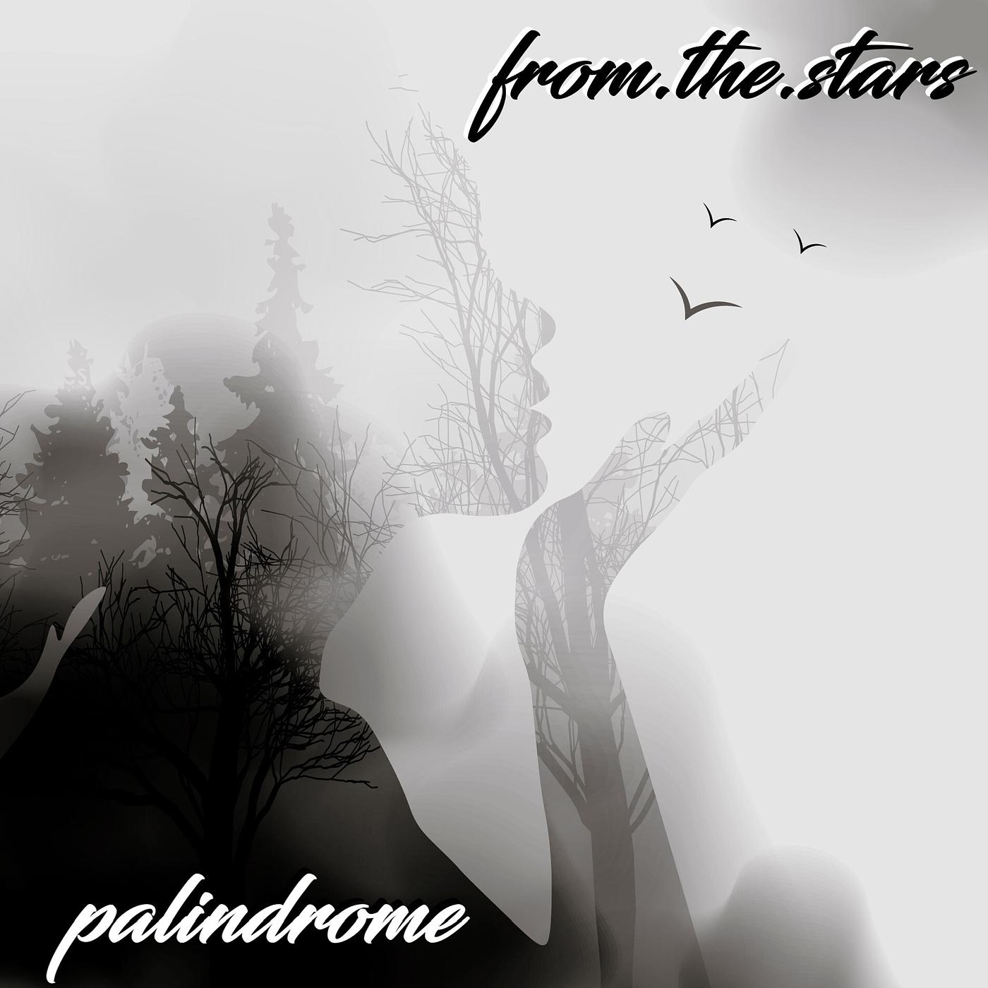 Постер альбома Palindrome