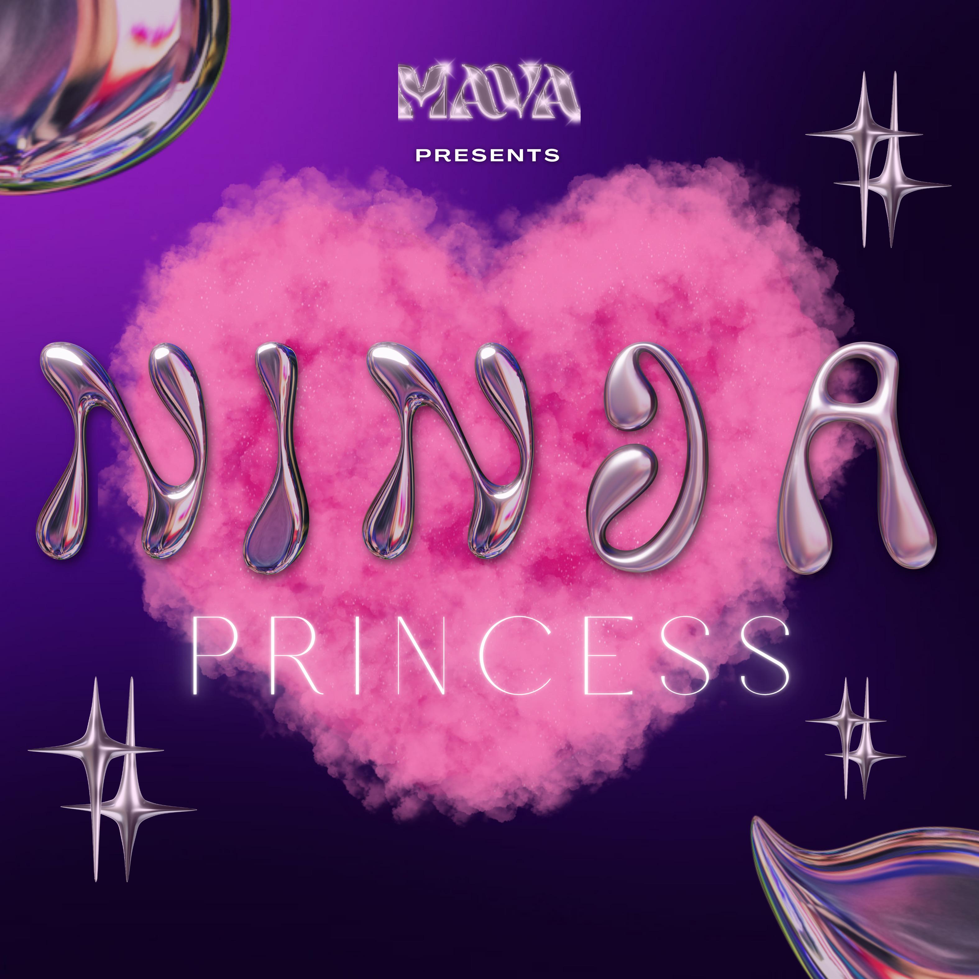 Постер альбома Ninja Princess