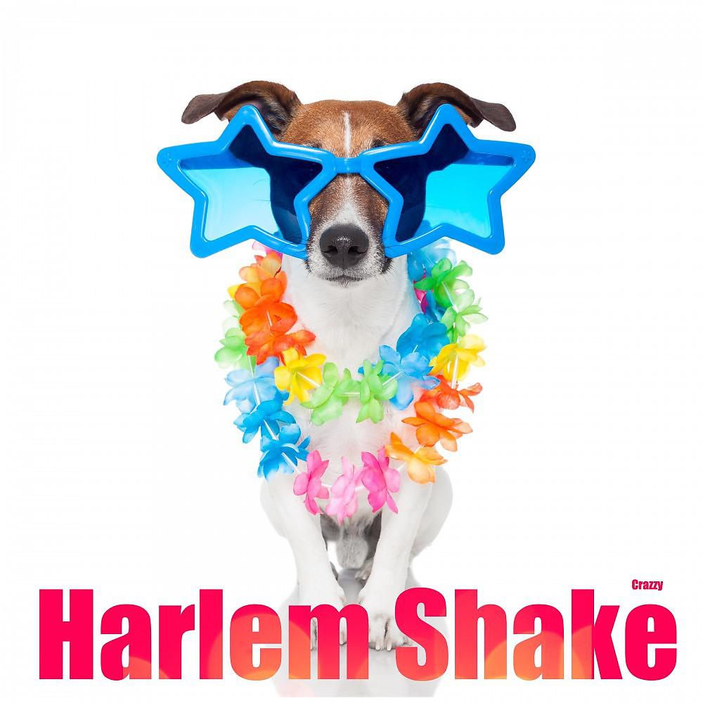 Постер альбома Harlem Shake