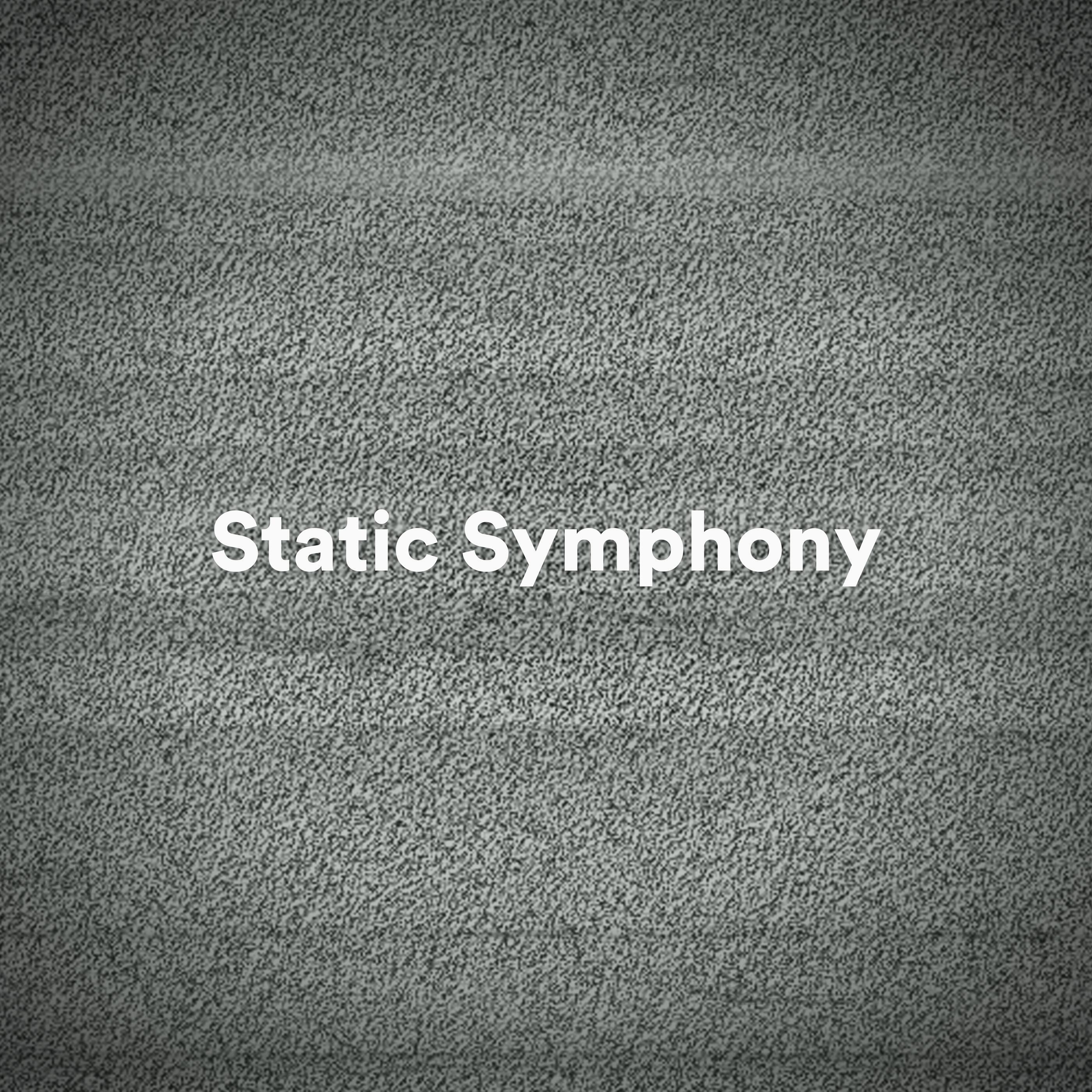 Постер альбома Static Symphony