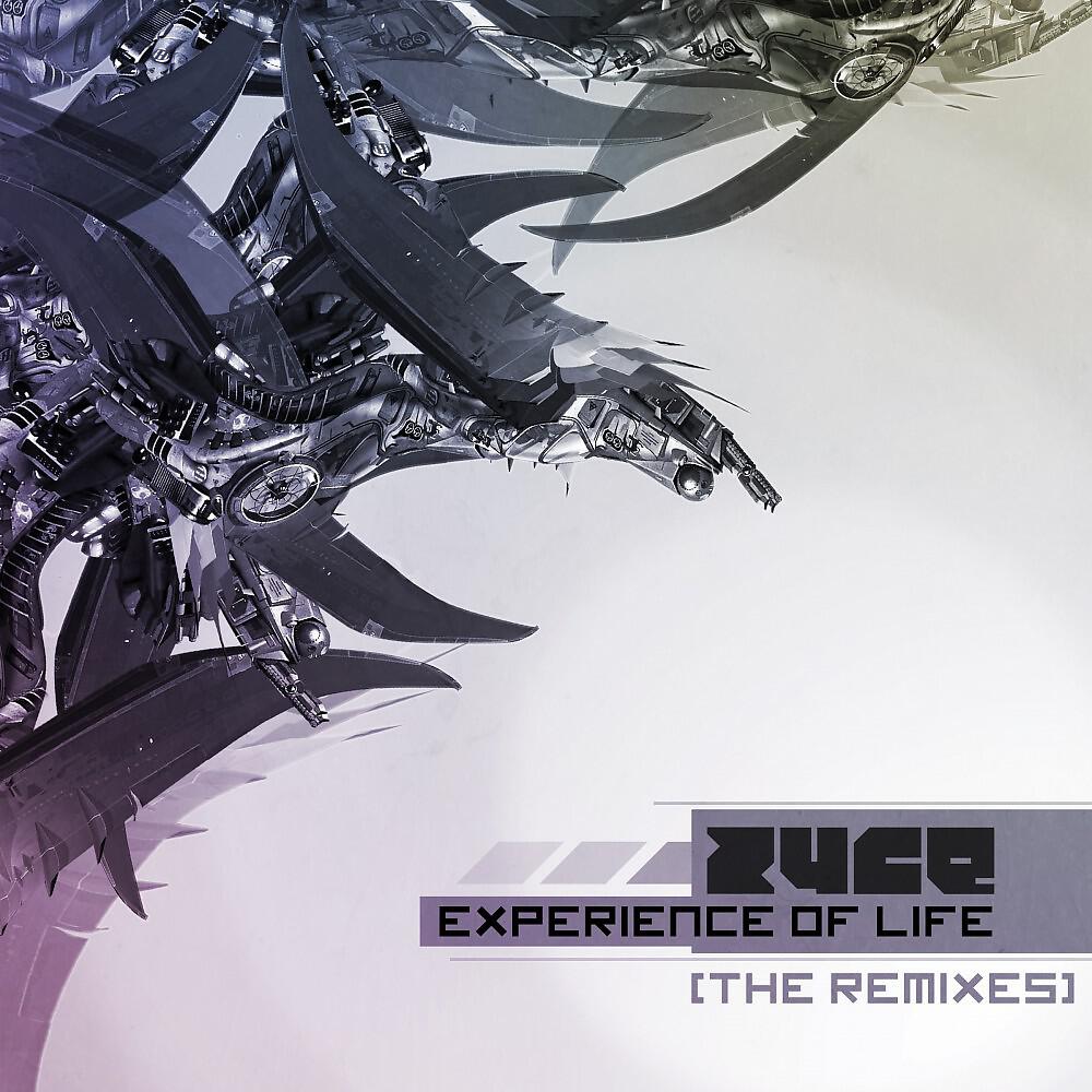 Zyce - Experience of Life (Chabunk Remix)