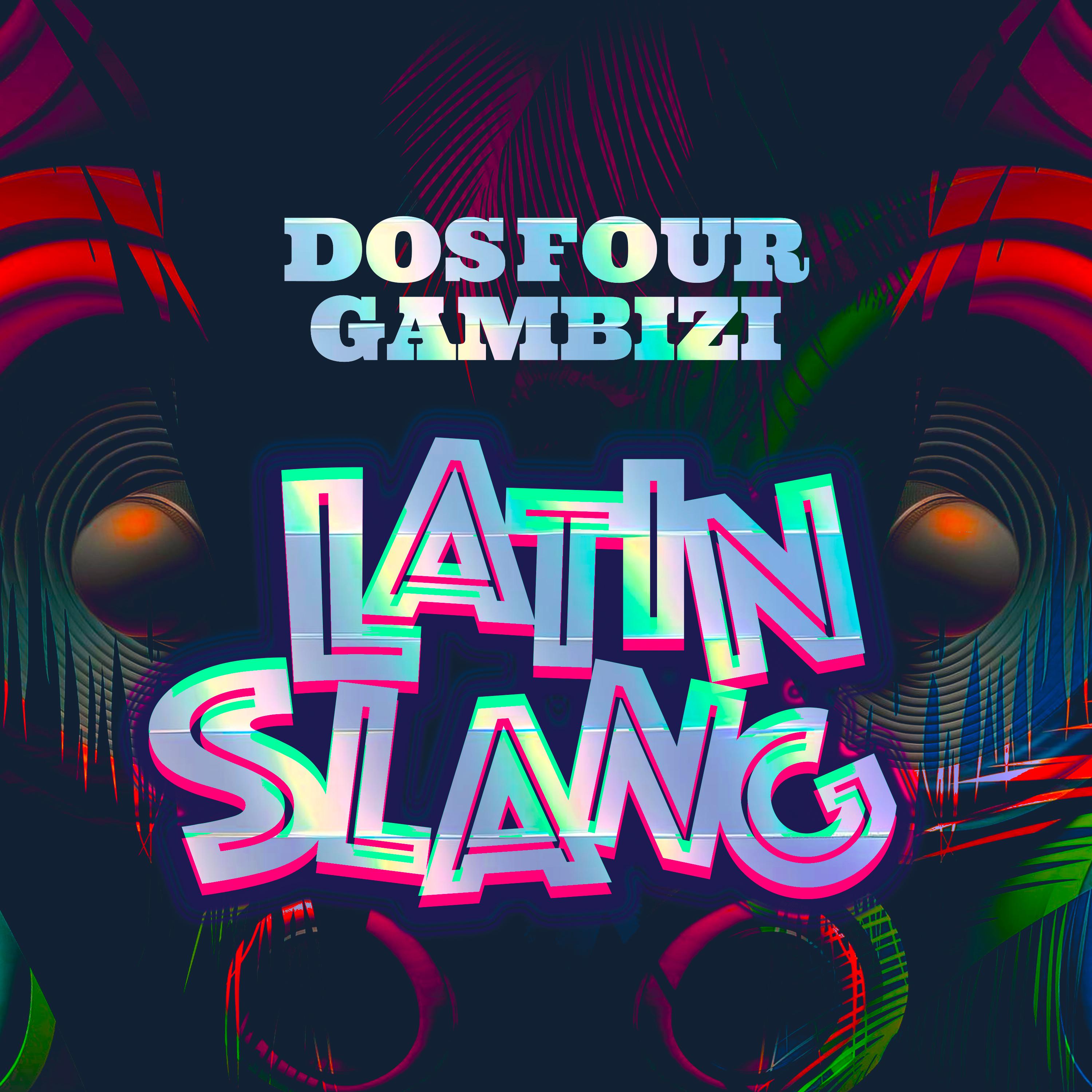 Постер альбома Latin Slang