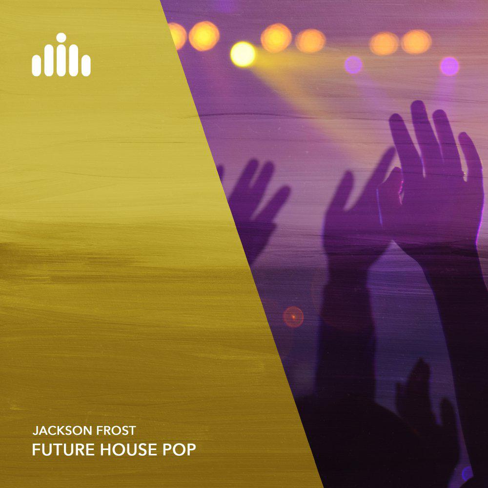 Постер альбома Future House Pop