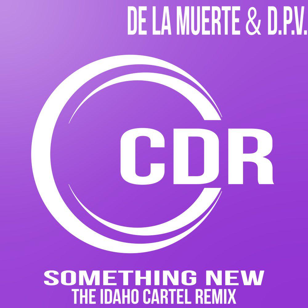 Постер альбома Something New (The Idaho Cartel Remix)