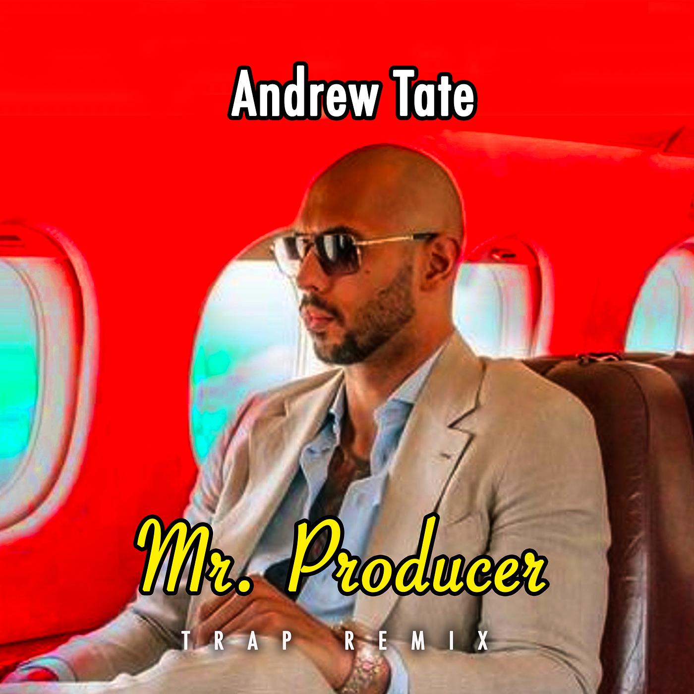 Постер альбома Mr. Producer (Trap Remix)
