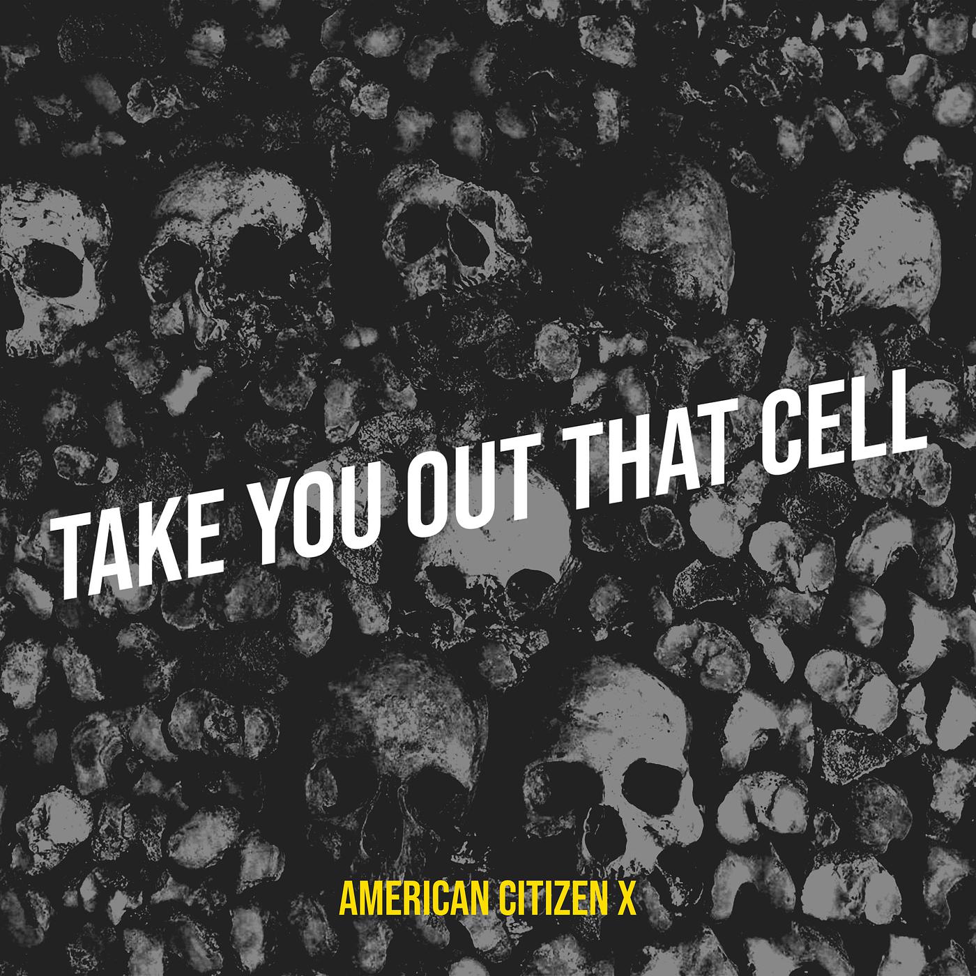 Постер альбома Take You out That Cell