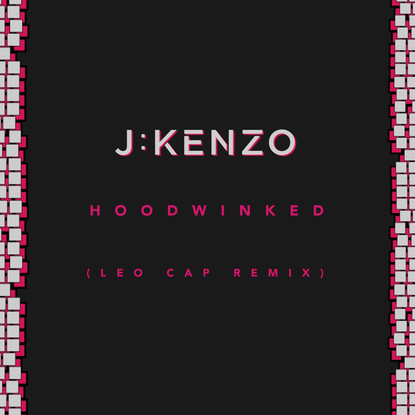 Постер альбома Hoodwinked (Leo Cap Remix)