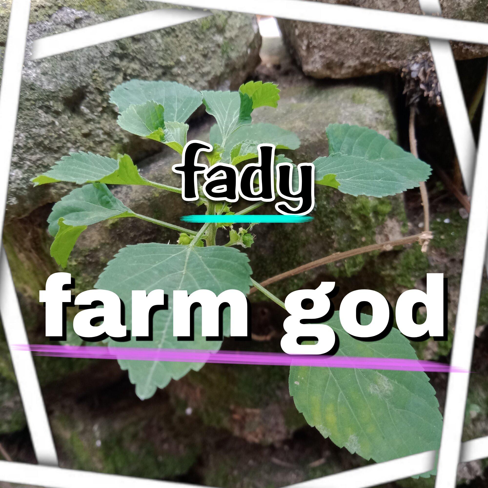 Постер альбома farm god