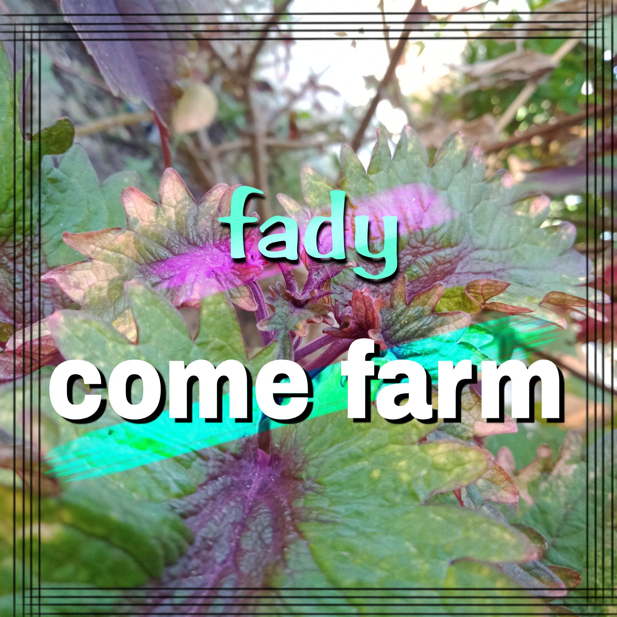 Постер альбома come farm